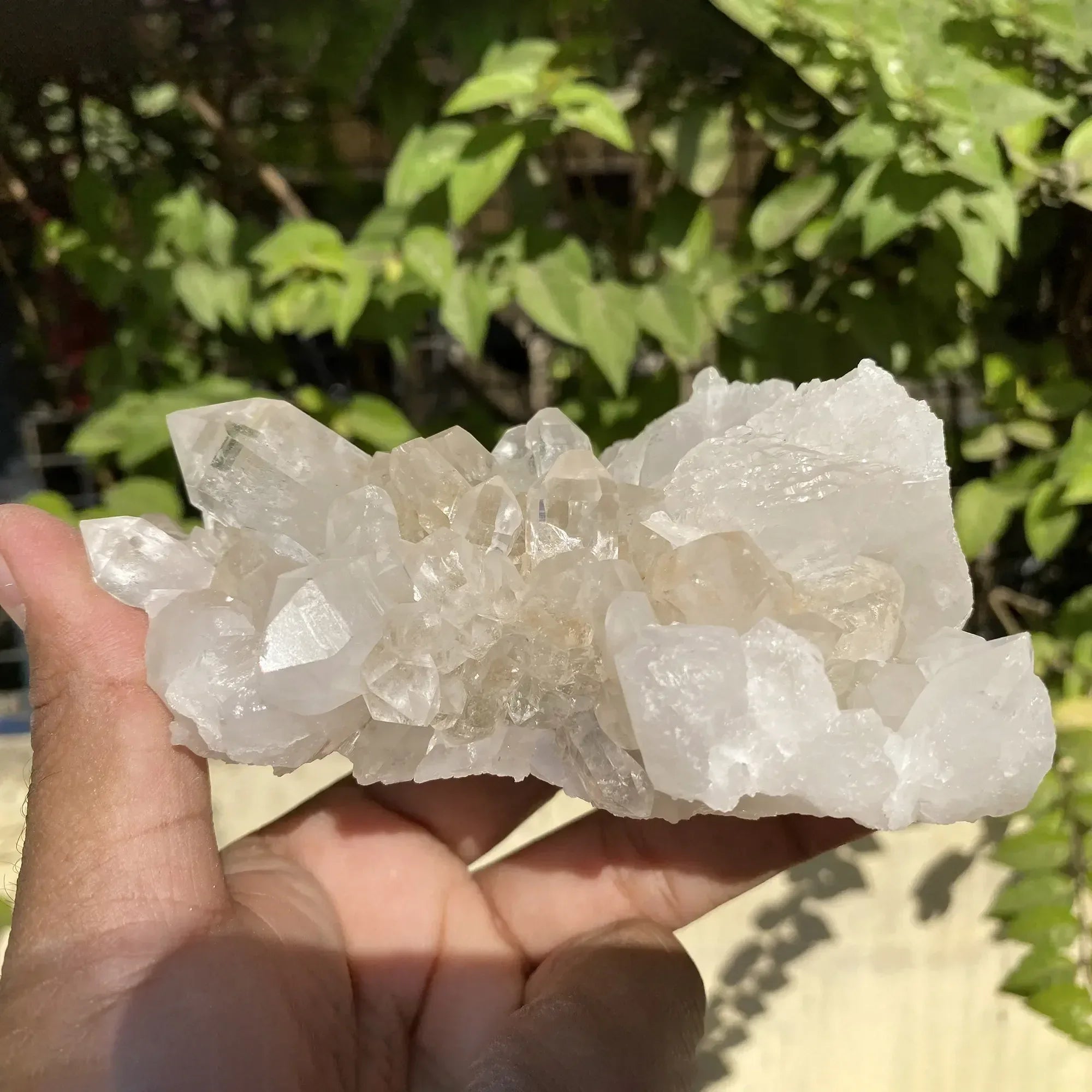 Natural Himalayan White Quartz Cluster 540g Himalayan Quartz