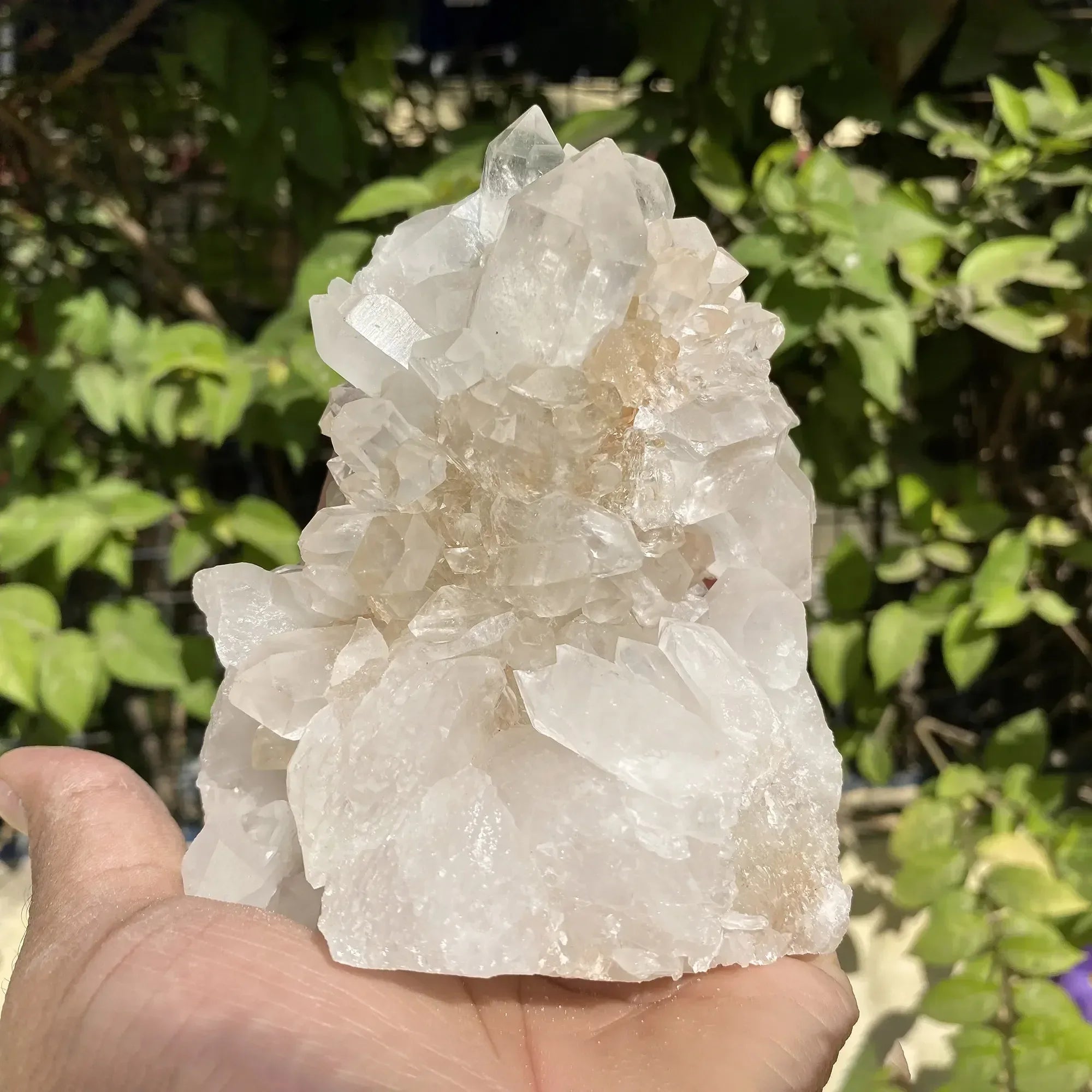 Natural Himalayan White Quartz Cluster 540g Himalayan Quartz