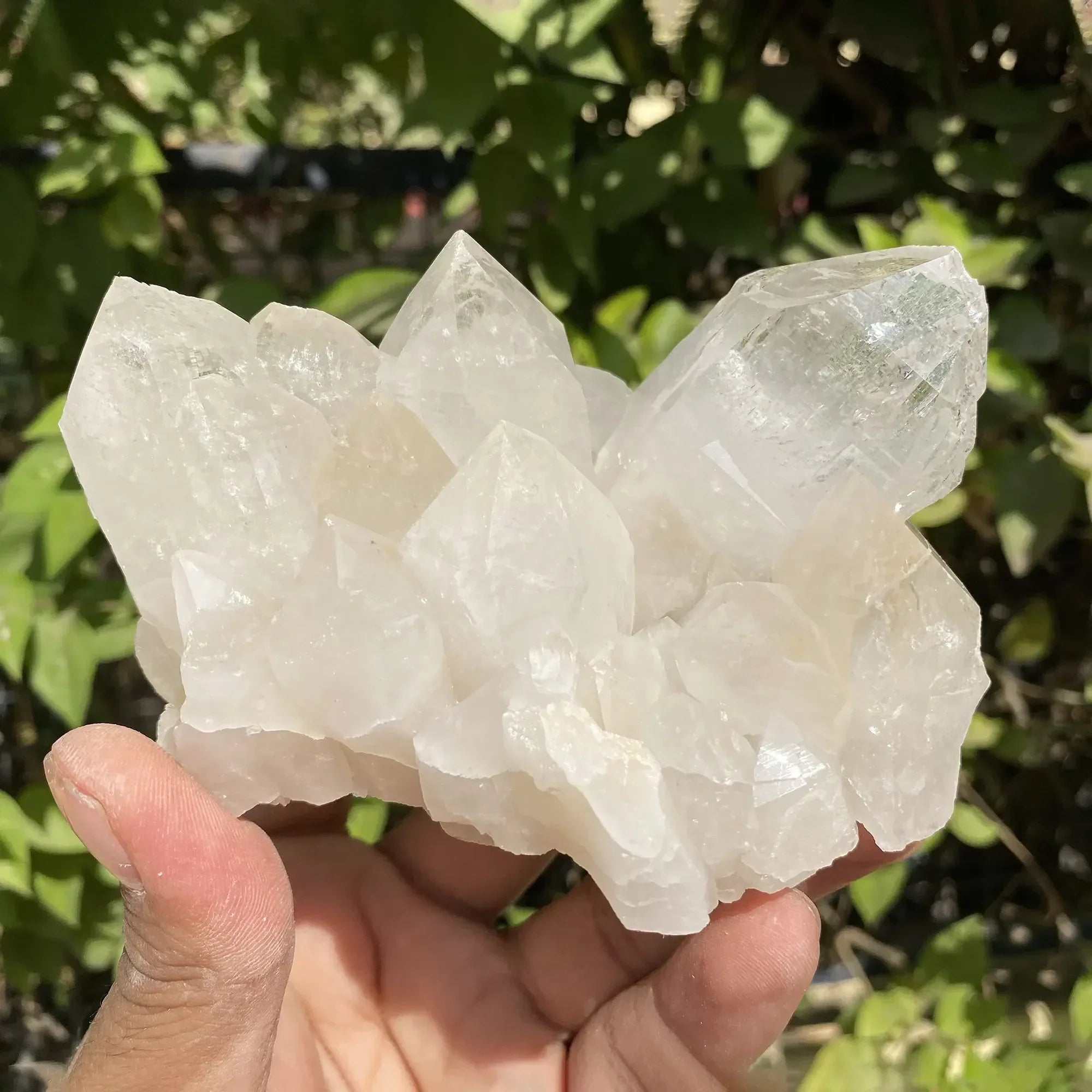 Natural Himalayan White Quartz Cluster 455g Himalayan Quartz