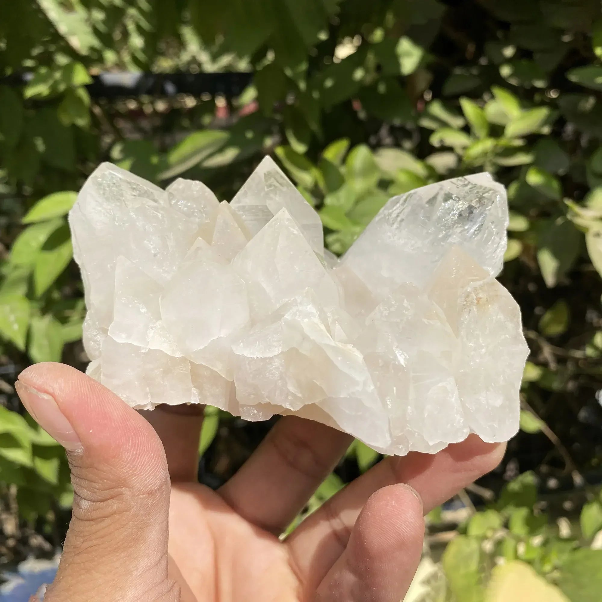 Natural Himalayan White Quartz Cluster 455g Himalayan Quartz