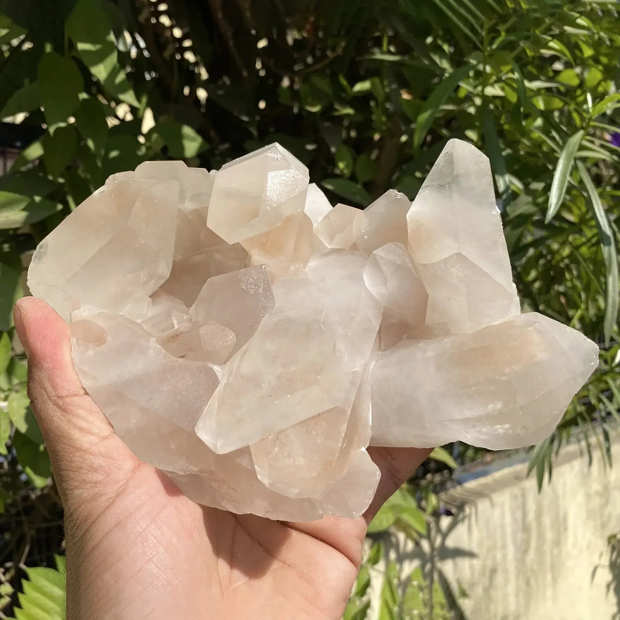 Natural Himalayan Pink Quartz Cluster 1095g Himalayan Quartz
