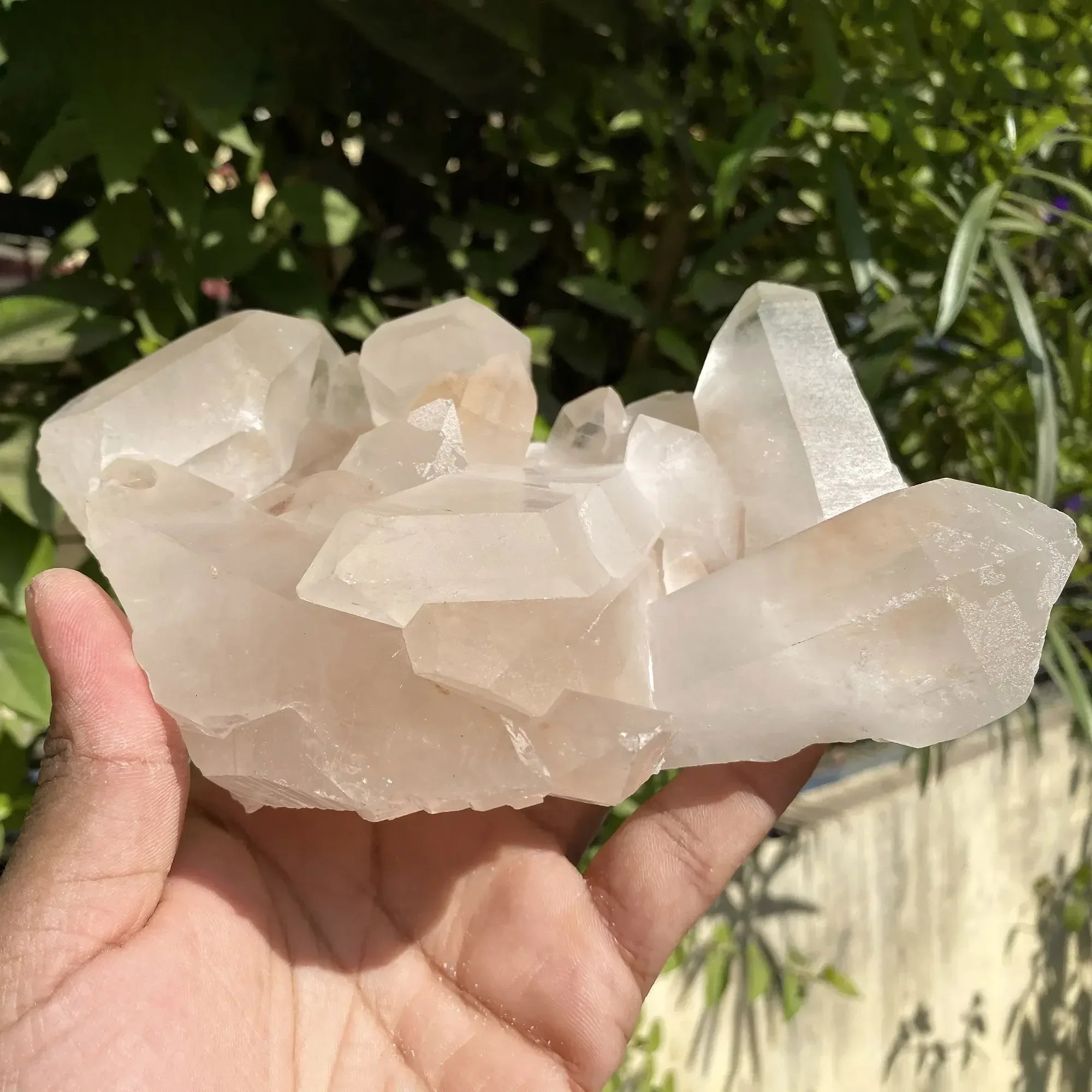 Natural Himalayan Pink Quartz Cluster 1095g Himalayan Quartz