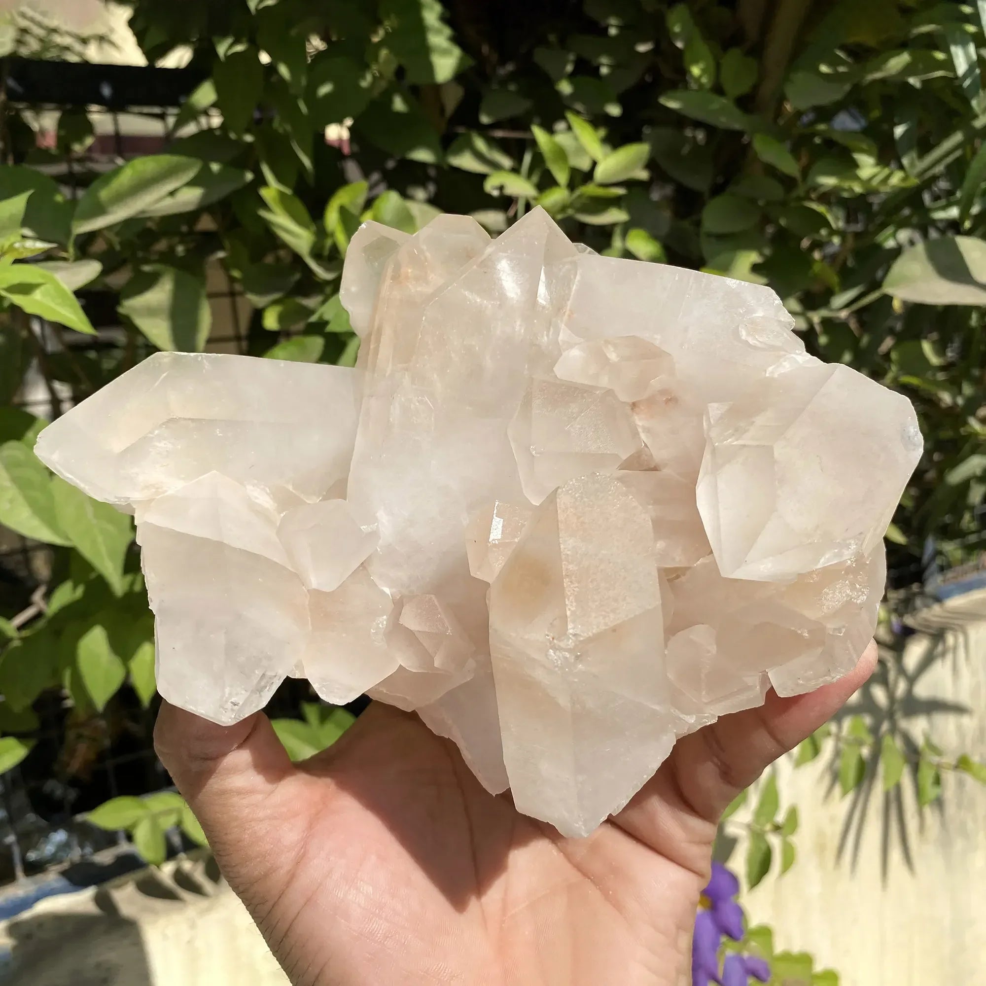 Natural Himalayan Pink Quartz Cluster 1095g Himalayan Quartz