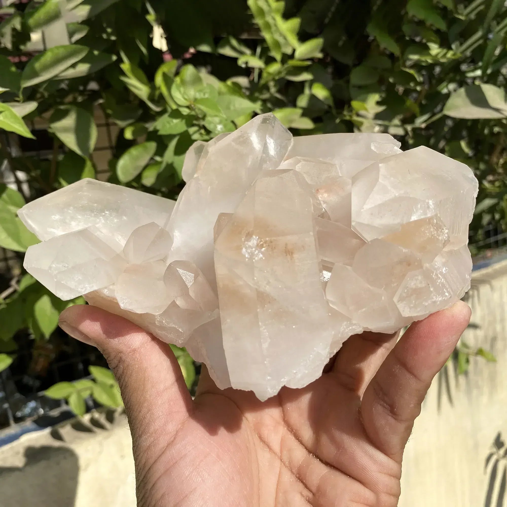 Natural Himalayan Pink Quartz Cluster 1095g Himalayan Quartz