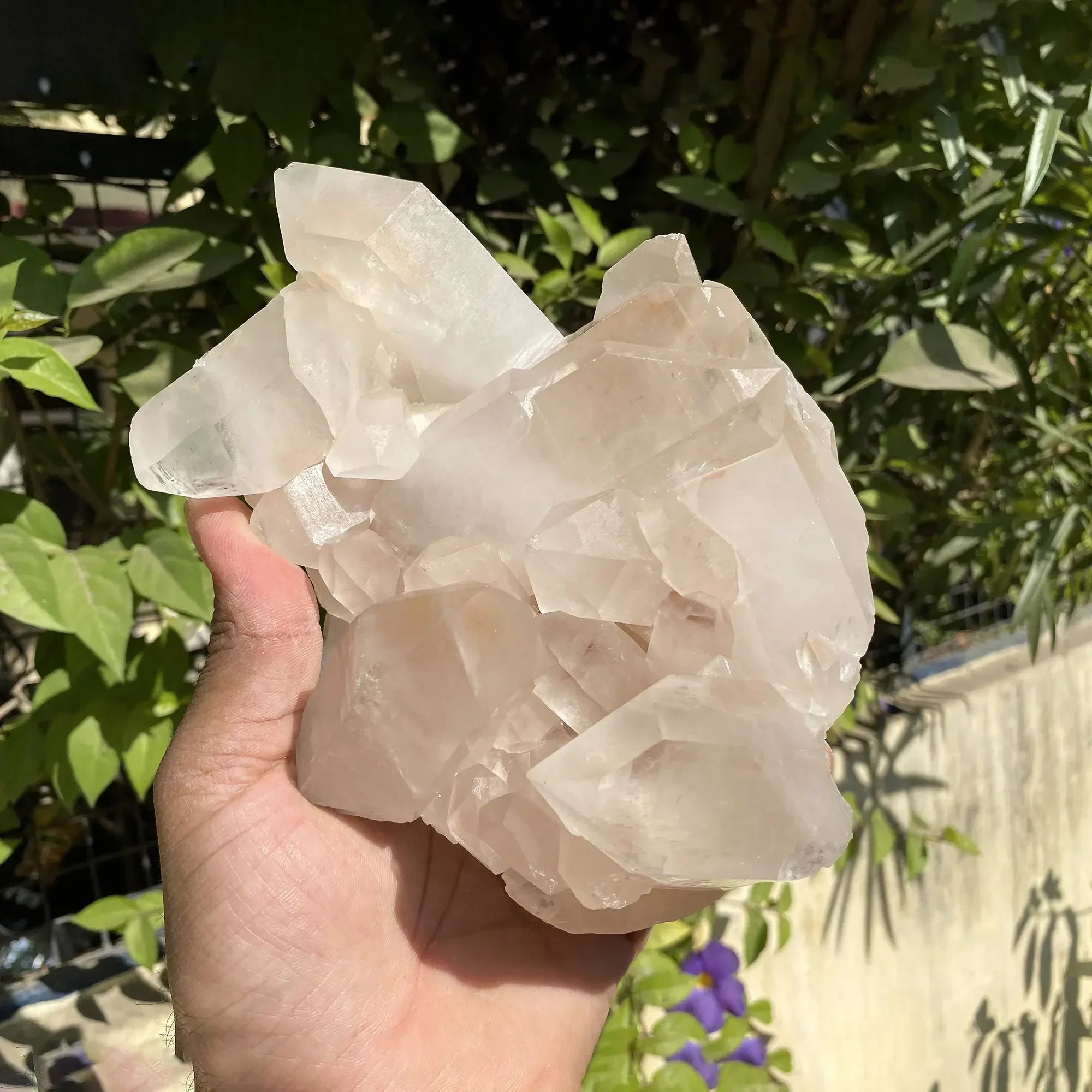 Natural Himalayan Pink Quartz Cluster 1095g Himalayan Quartz
