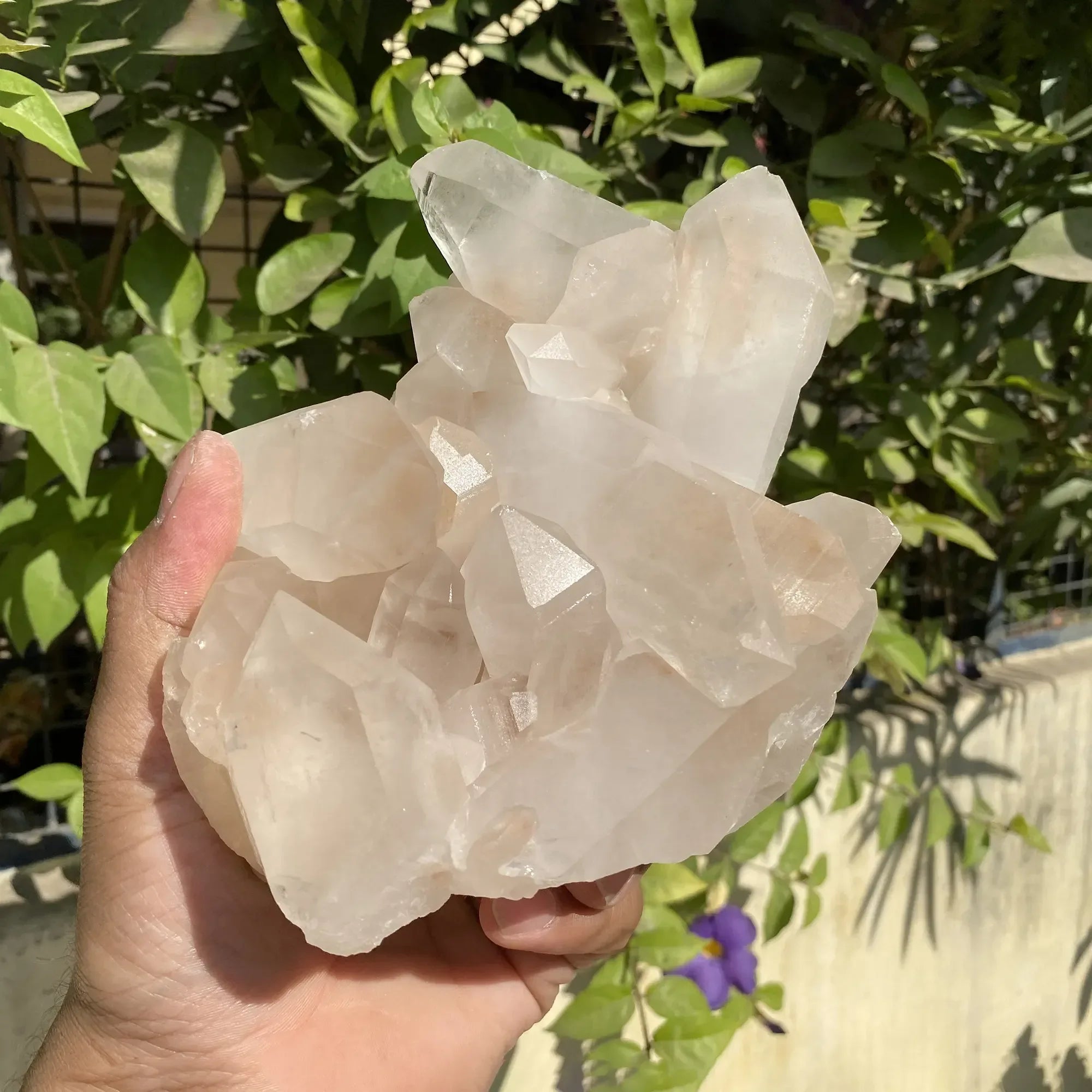 Natural Himalayan Pink Quartz Cluster 1095g Himalayan Quartz