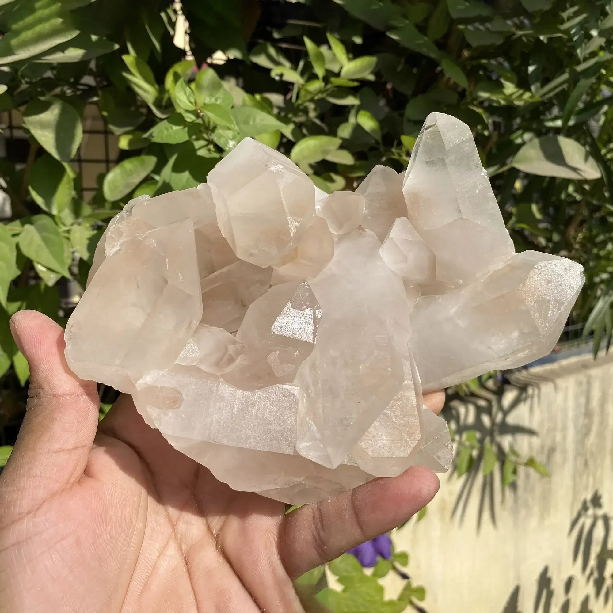 Natural Himalayan Pink Quartz Cluster 1095g Himalayan Quartz