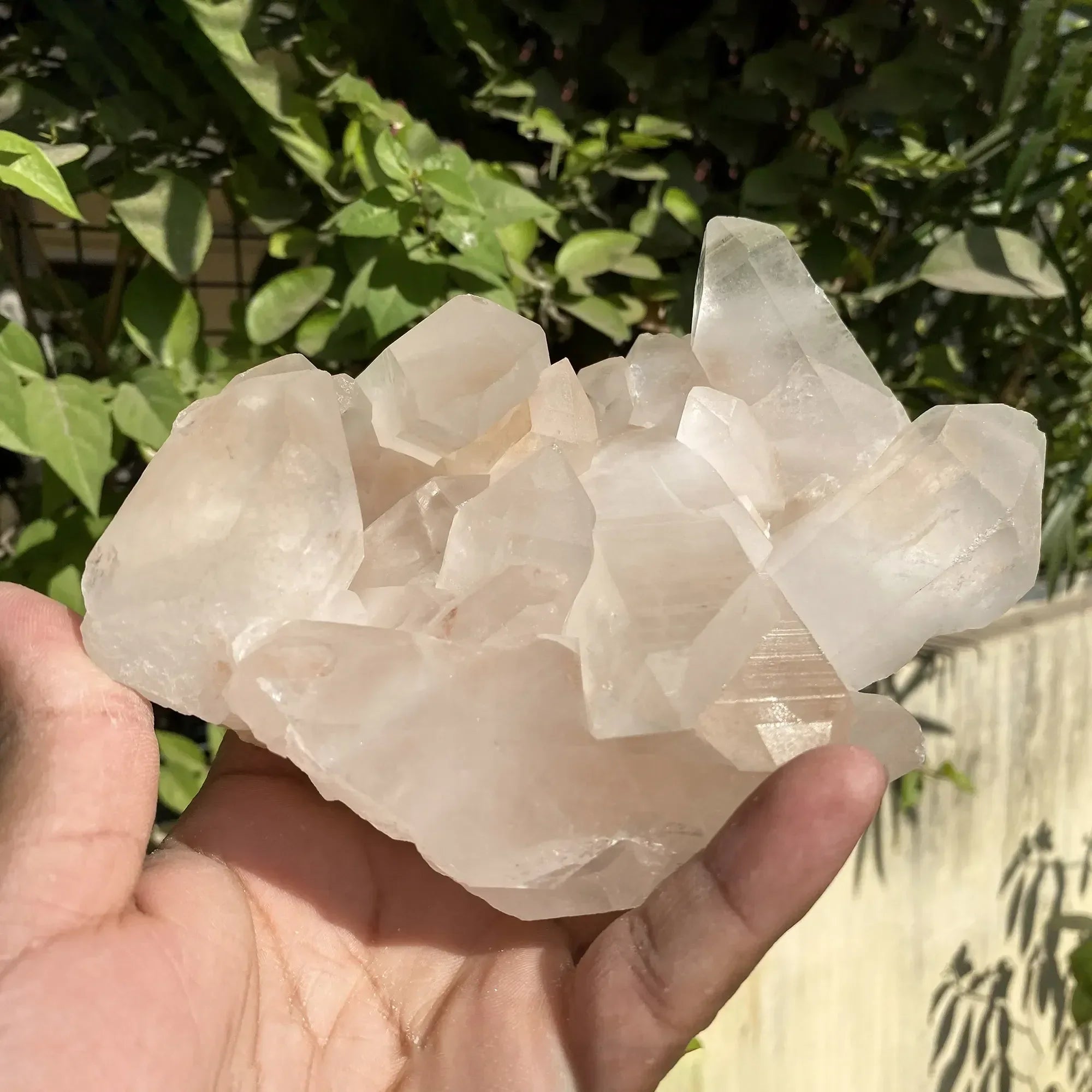 Natural Himalayan Pink Quartz Cluster 1095g Himalayan Quartz