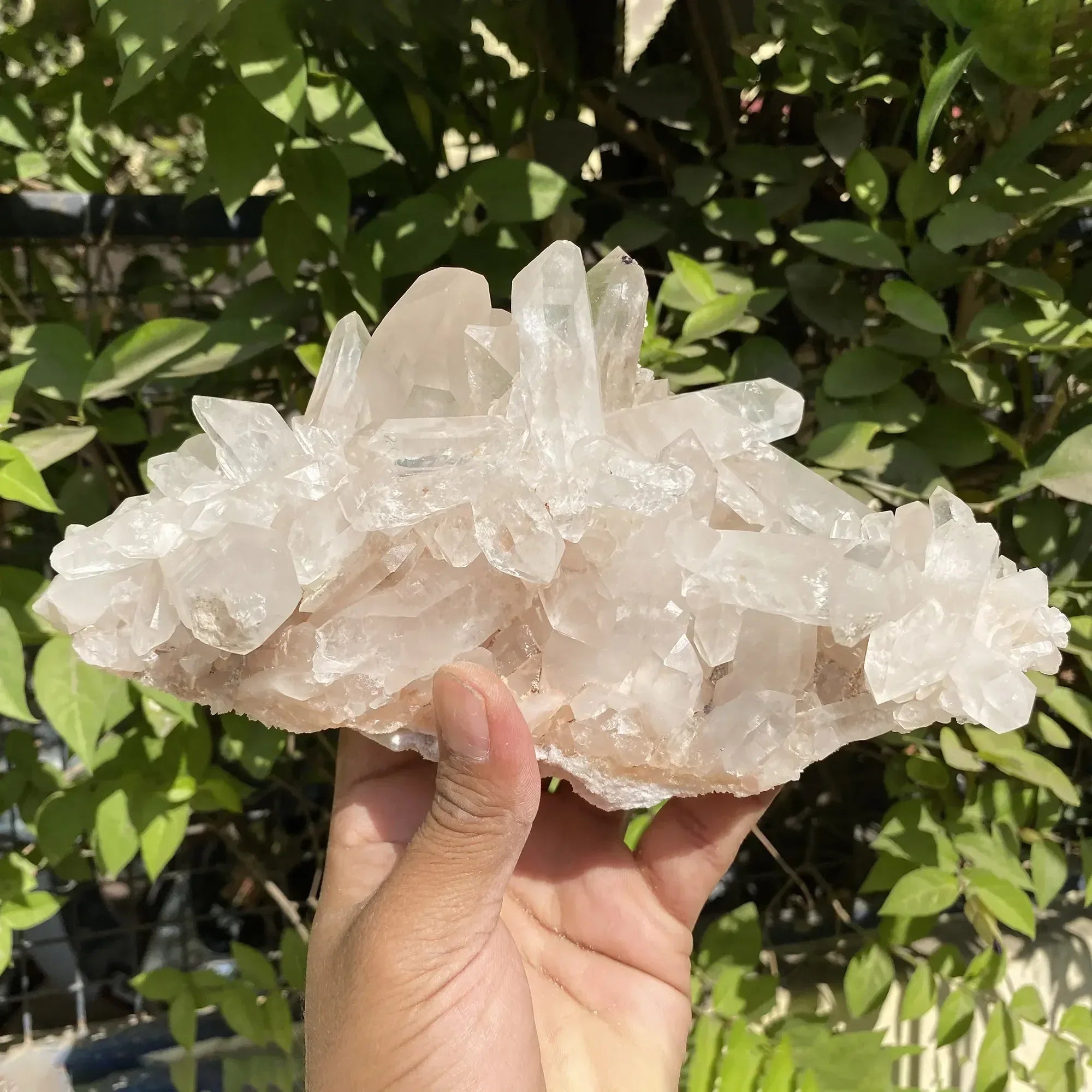 Natural Himalayan Pink Quartz Cluster 1725g Himalayan Quartz
