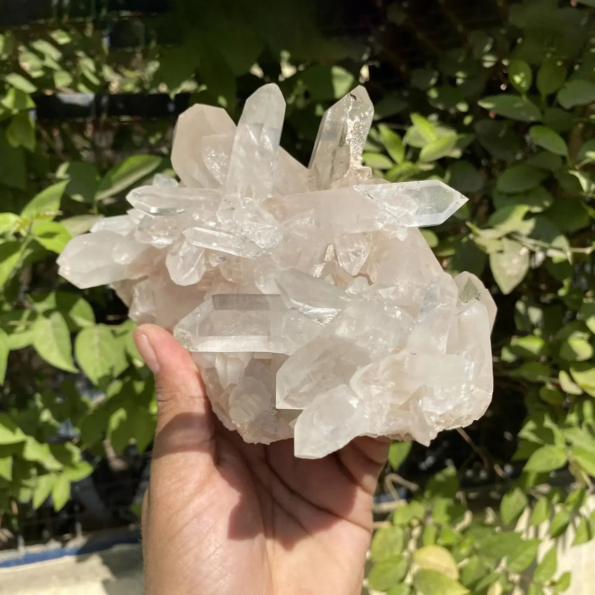 Natural Himalayan Pink Quartz Cluster 1725g Himalayan Quartz