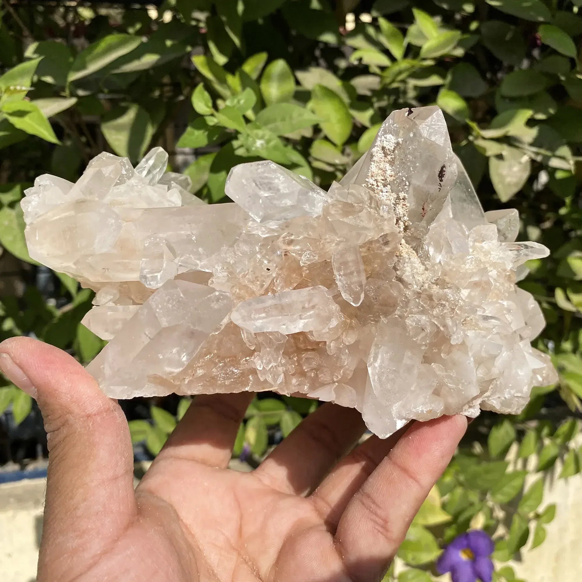 Natural Himalayan Pink Quartz Cluster 1725g Himalayan Quartz