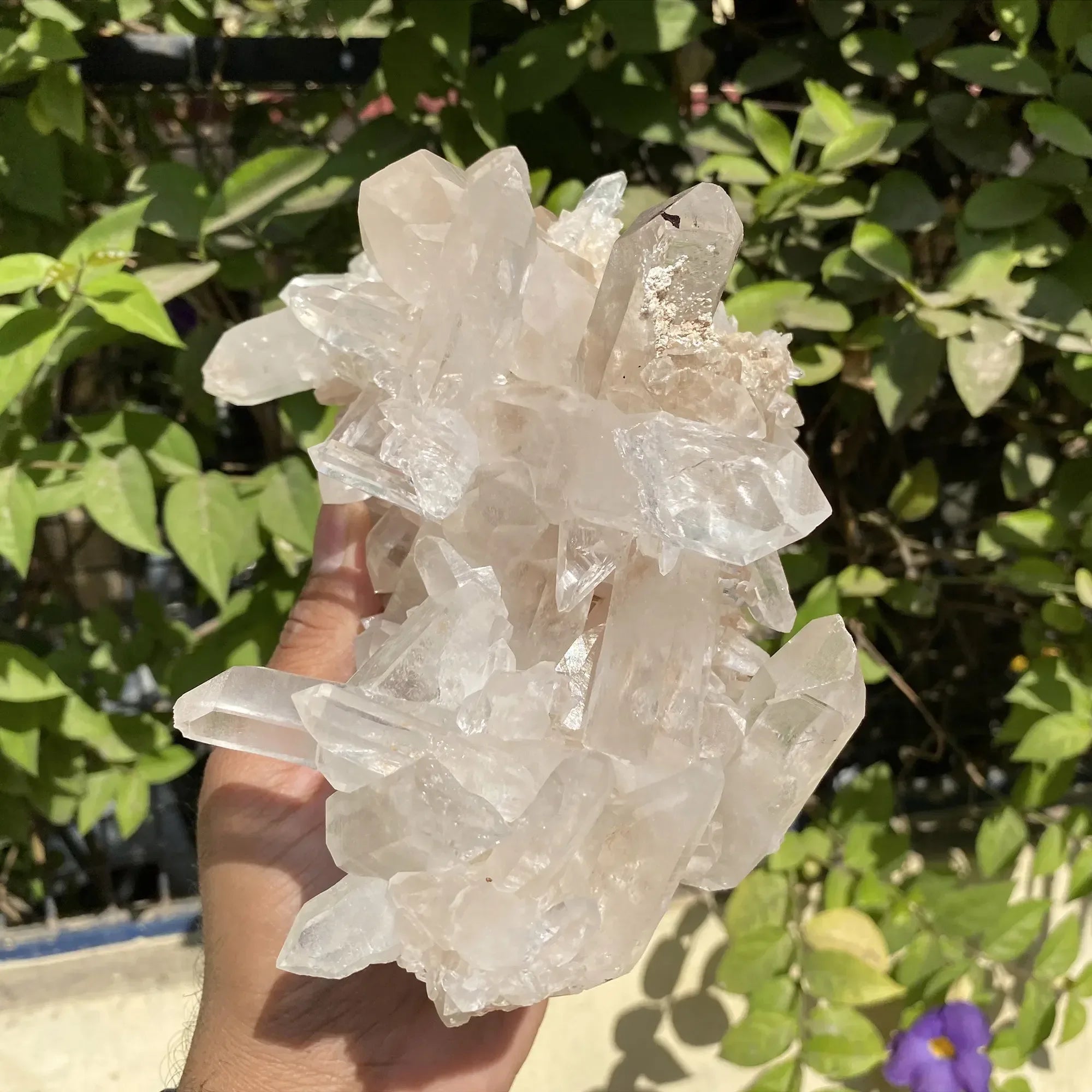 Natural Himalayan Pink Quartz Cluster 1725g Himalayan Quartz