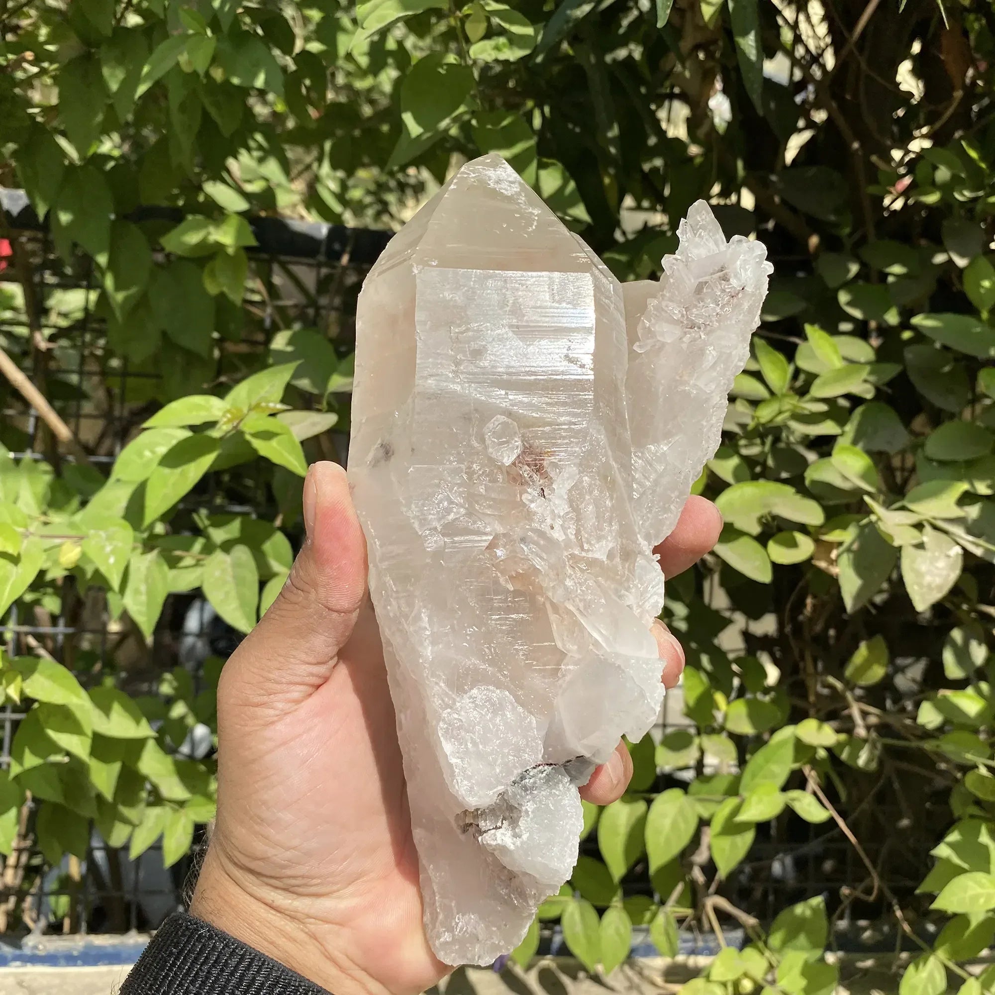 Natural Himalayan Pink Quartz Cluster 1640g Himalayan Quartz