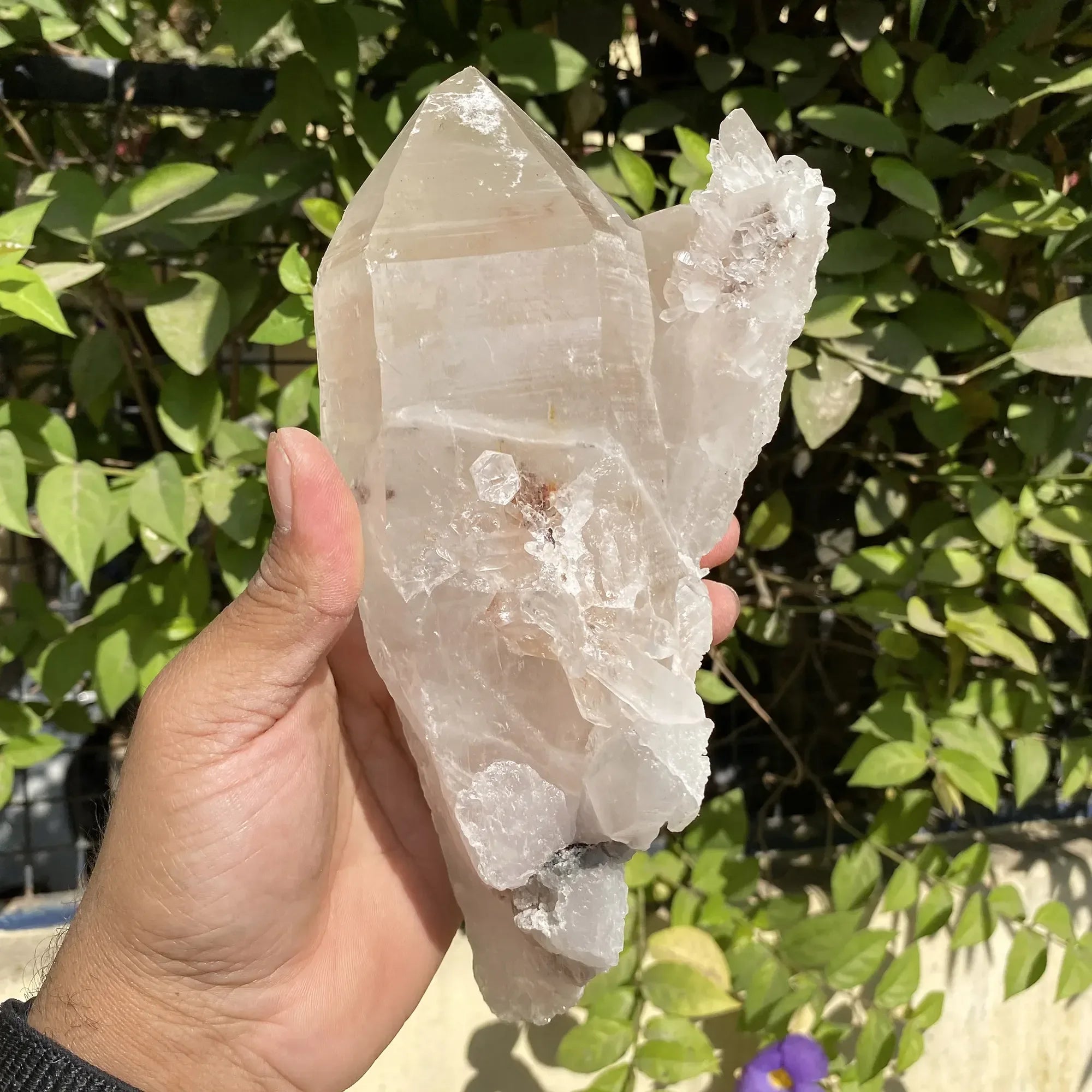 Natural Himalayan Pink Quartz Cluster 1640g Himalayan Quartz