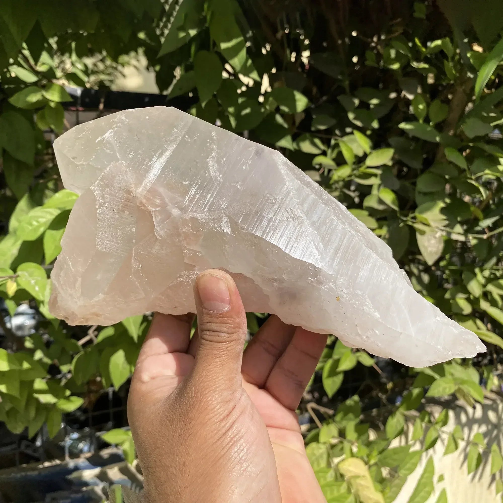 Natural Himalayan Pink Quartz Cluster 1640g Himalayan Quartz