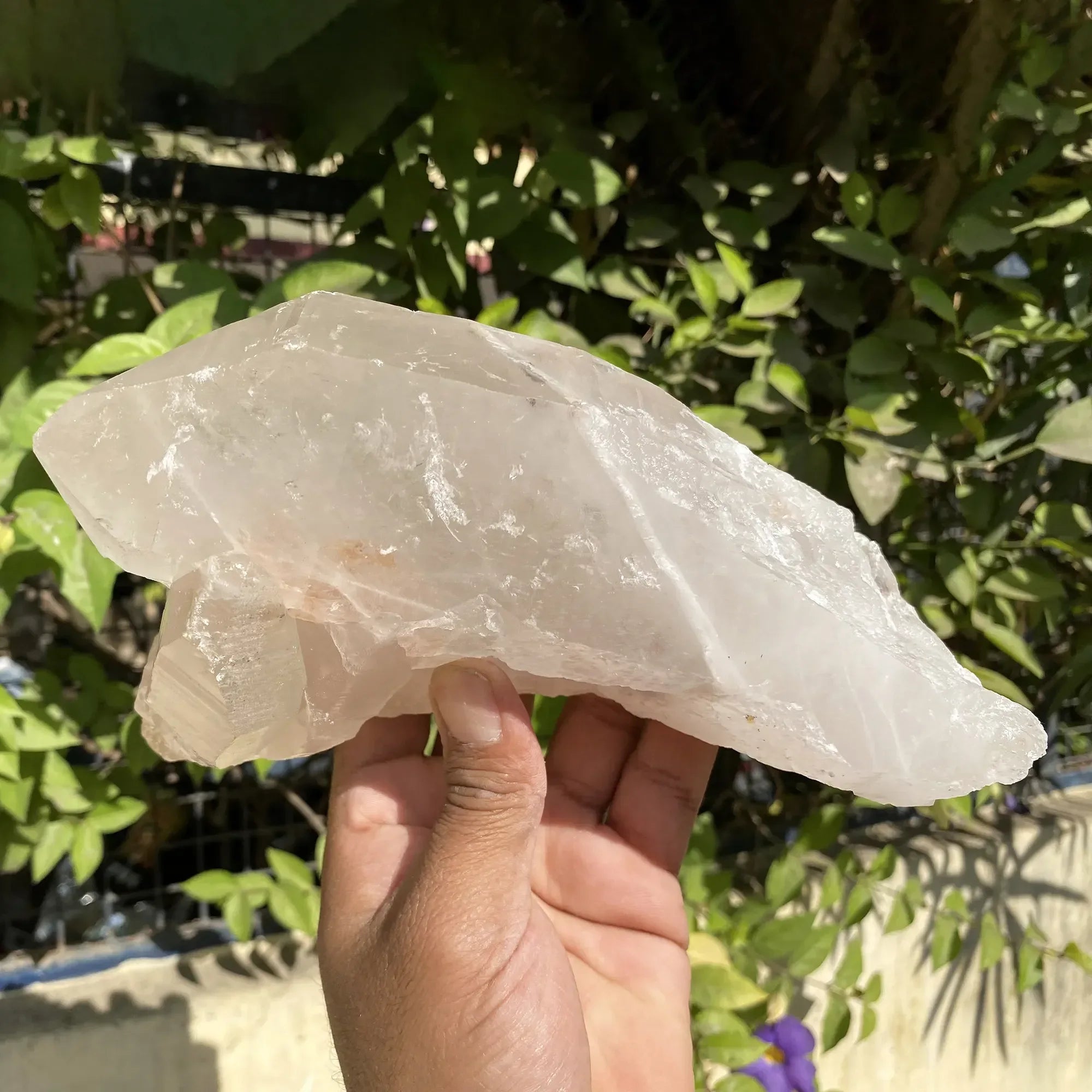 Natural Himalayan Pink Quartz Cluster 1640g Himalayan Quartz