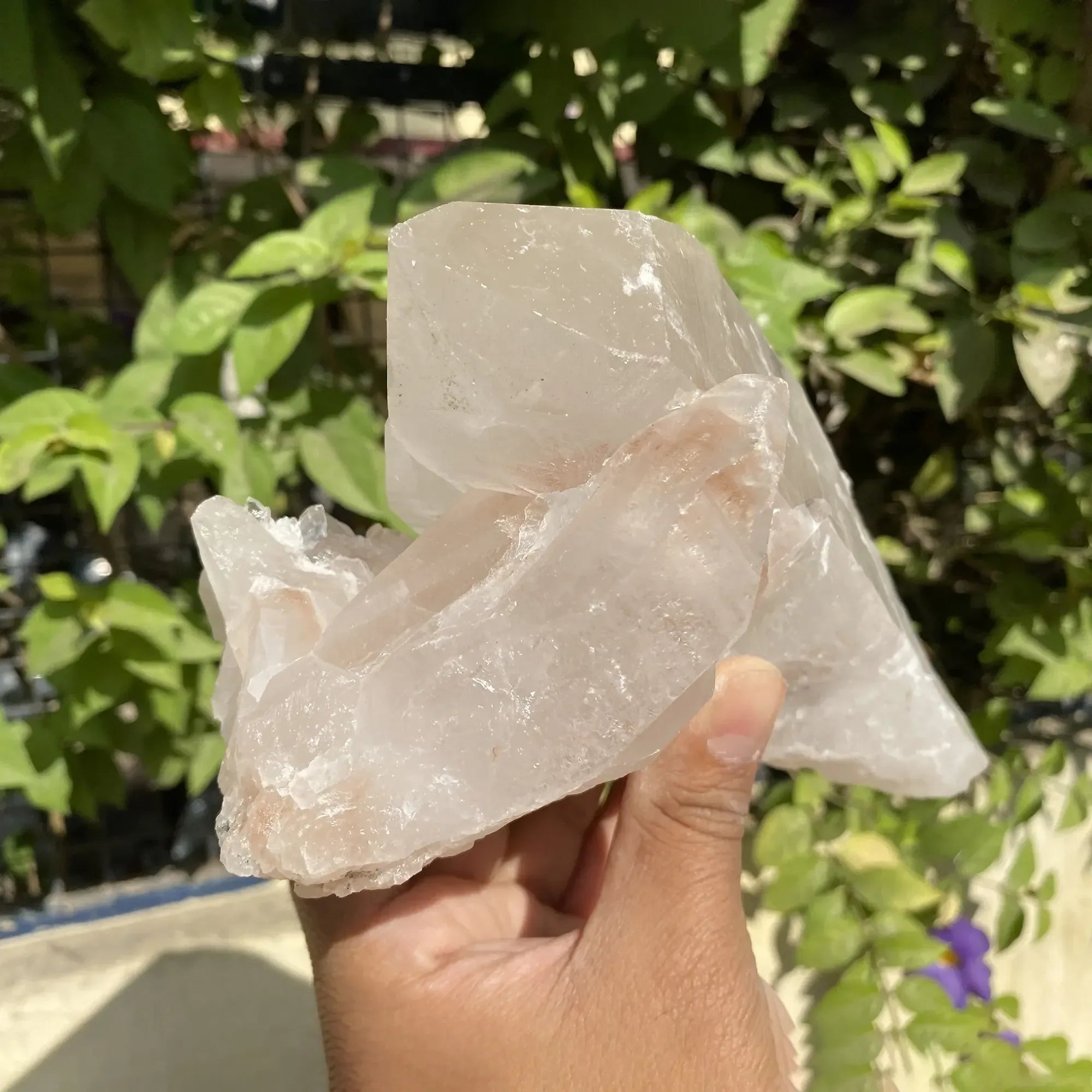 Natural Himalayan Pink Quartz Cluster 1640g Himalayan Quartz