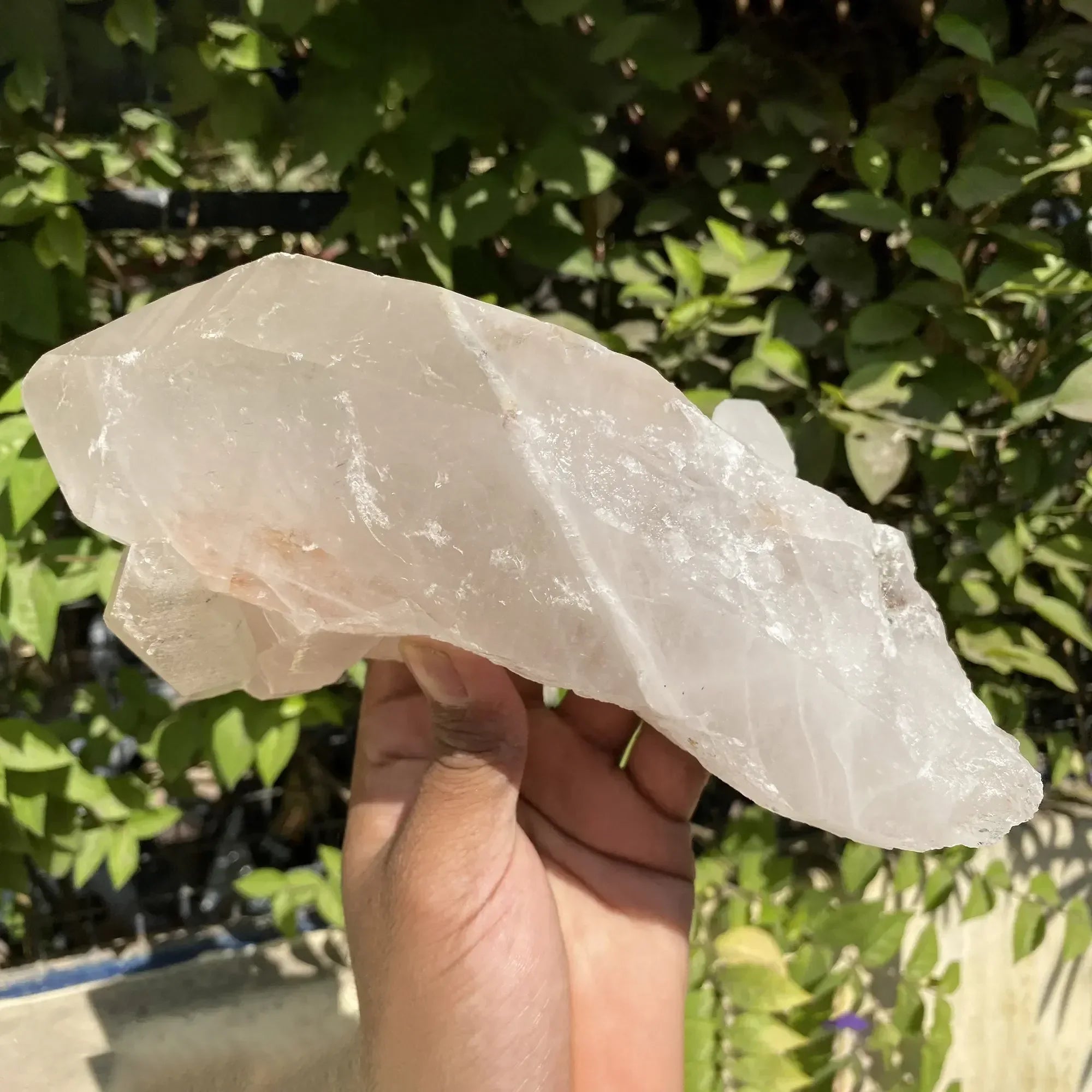 Natural Himalayan Pink Quartz Cluster 1640g Himalayan Quartz