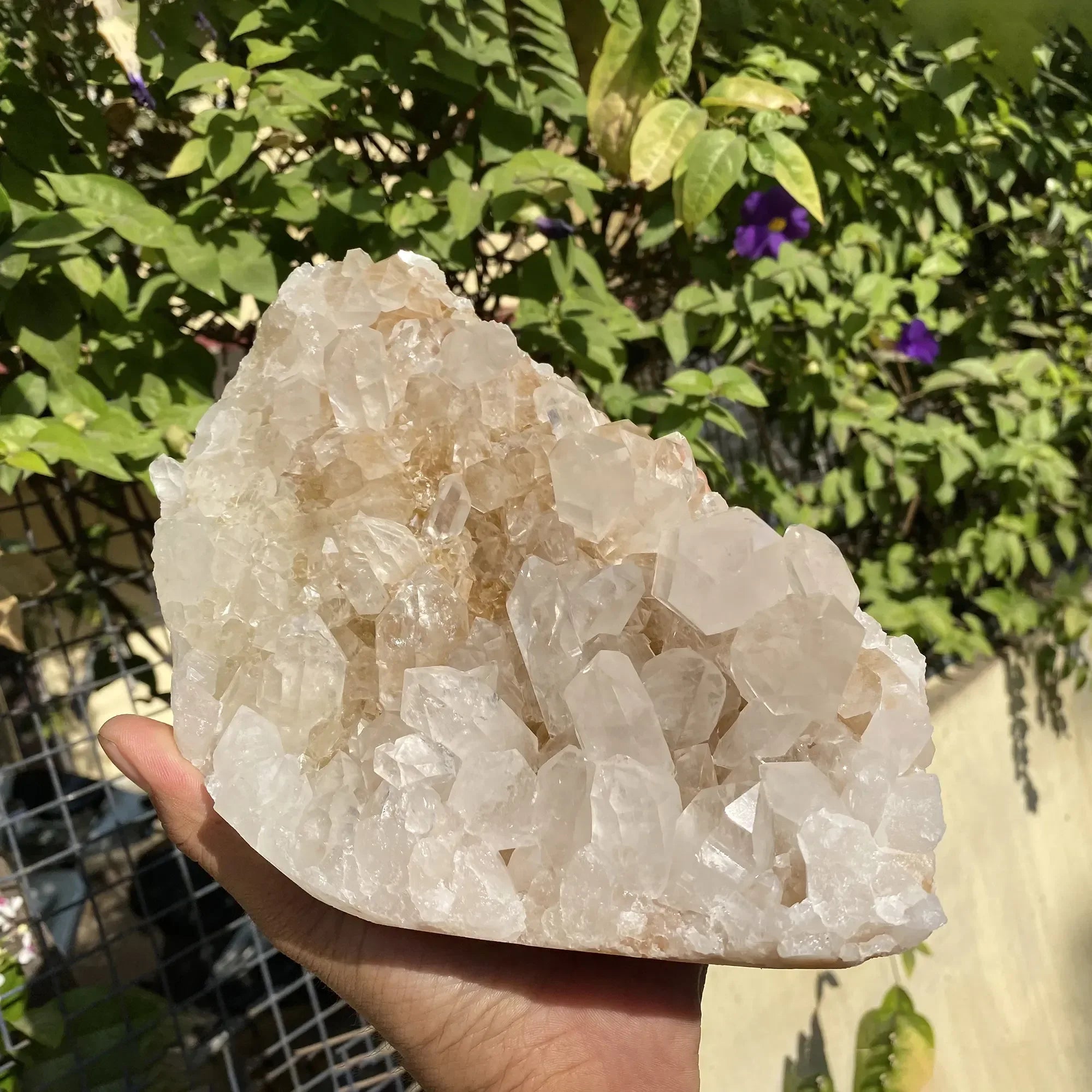 Natural Himalayan Pink Quartz Cluster 2500g Himalayan Quartz