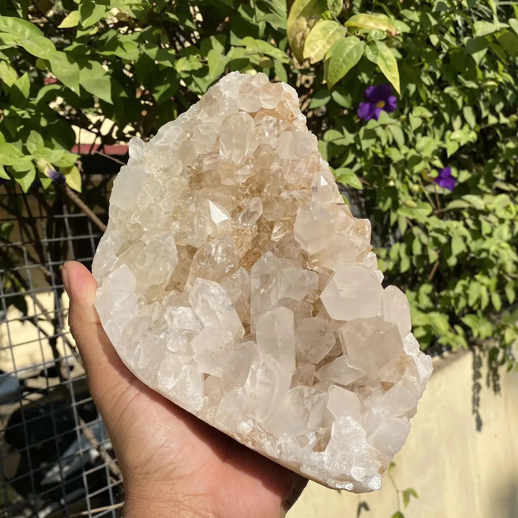 Natural Himalayan Pink Quartz Cluster 2500g Himalayan Quartz