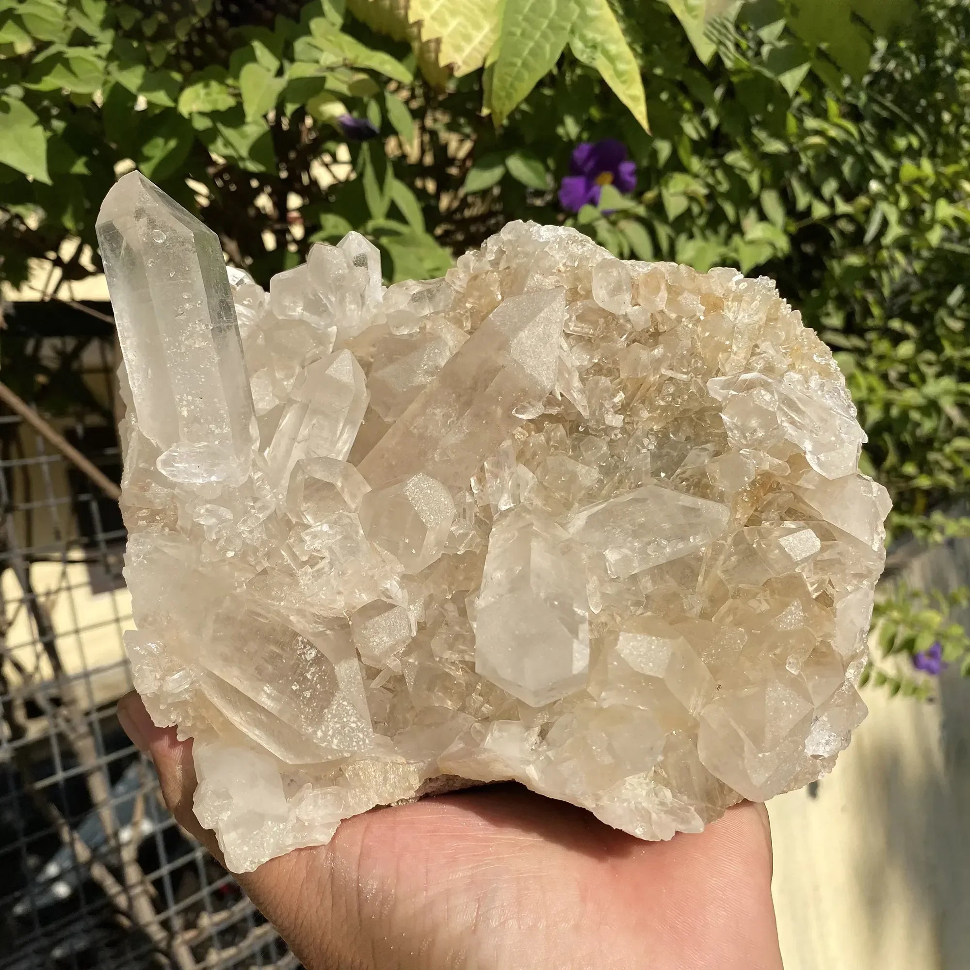 Natural Himalayan Pink Quartz Cluster 1770g Himalayan Quartz
