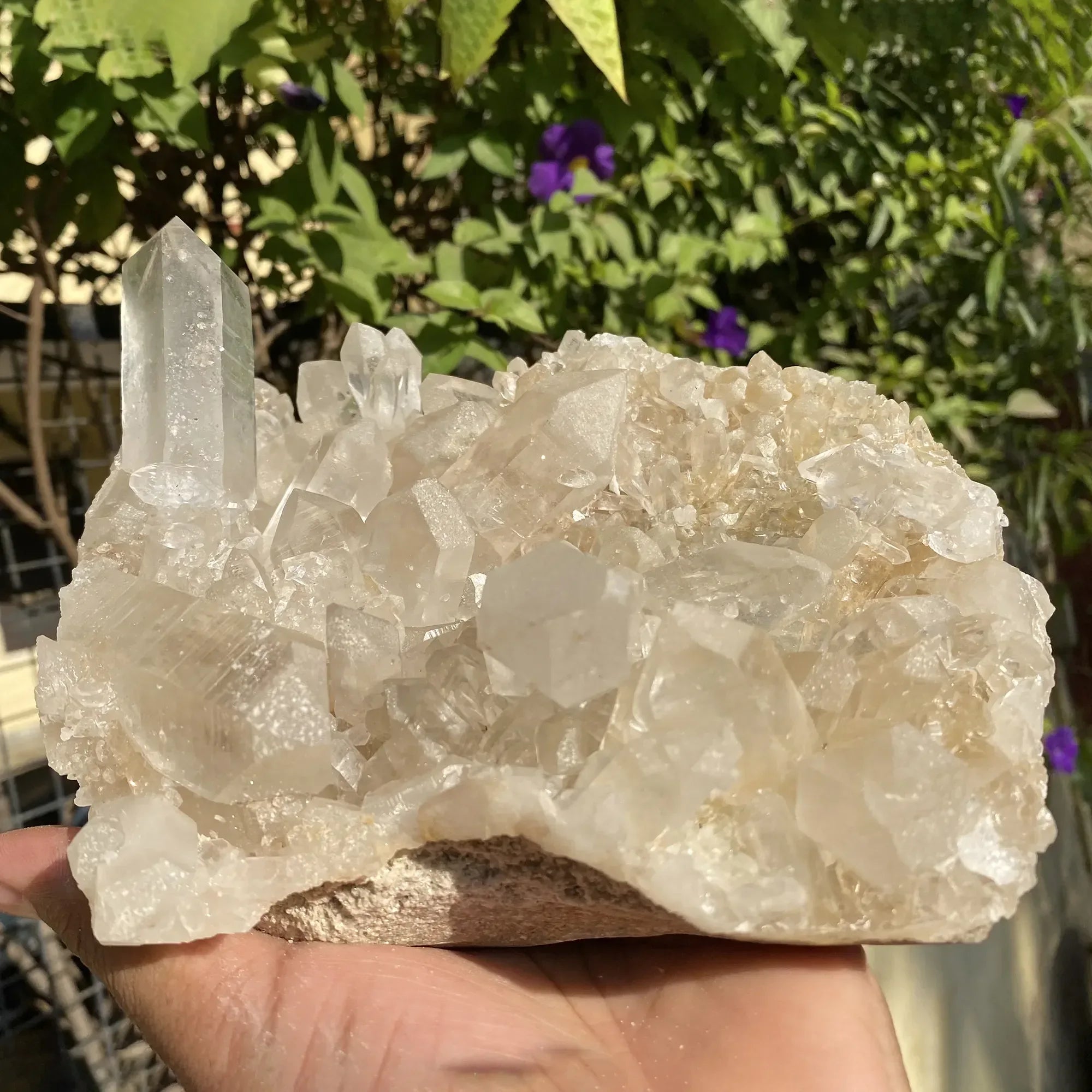 Natural Himalayan Pink Quartz Cluster 1770g Himalayan Quartz