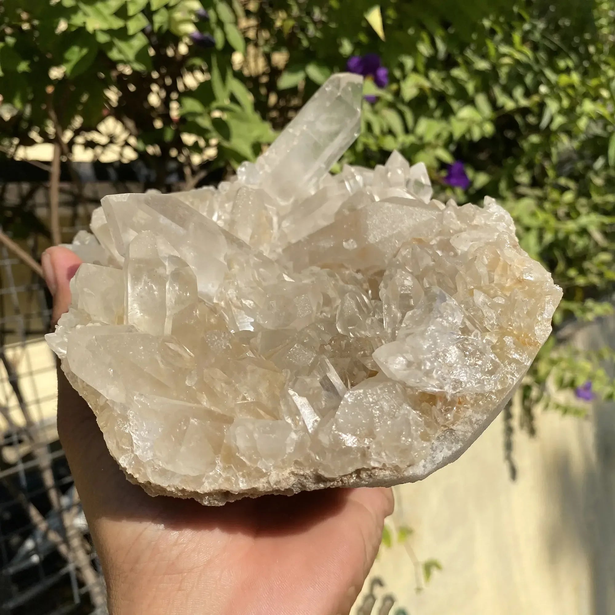 Natural Himalayan Pink Quartz Cluster 1770g Himalayan Quartz