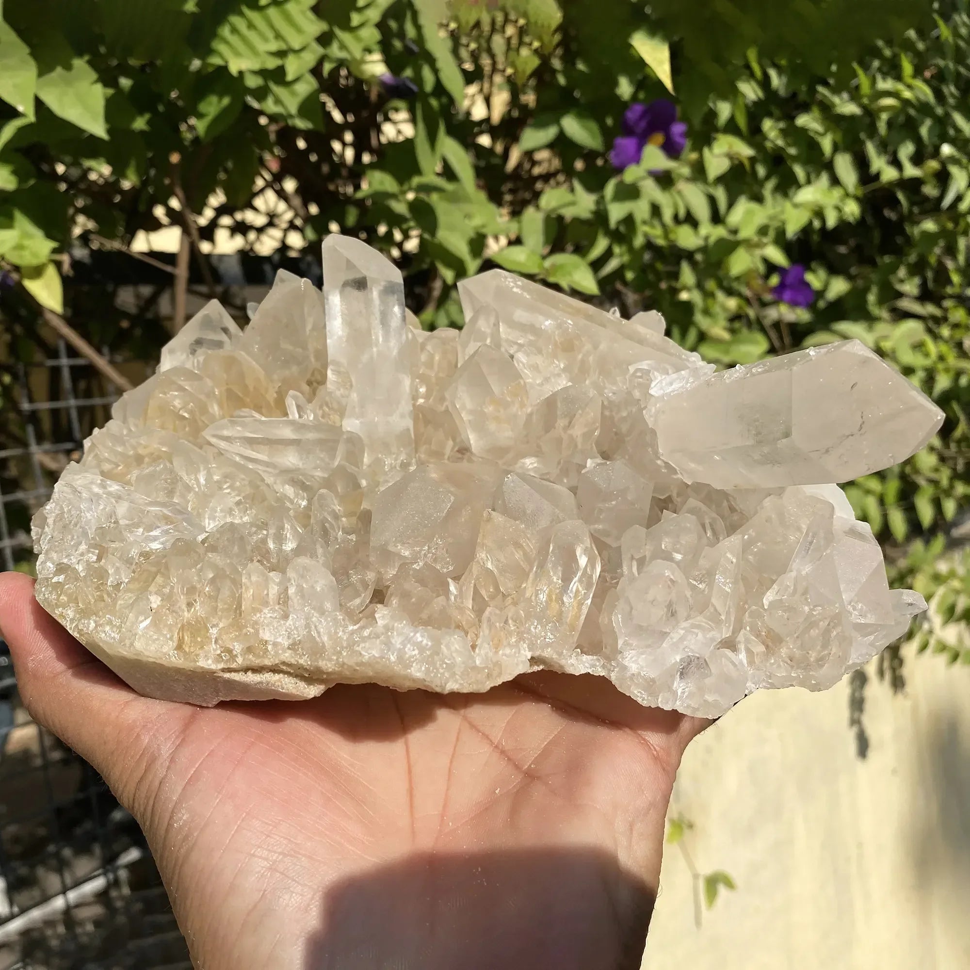 Natural Himalayan Pink Quartz Cluster 1770g Himalayan Quartz