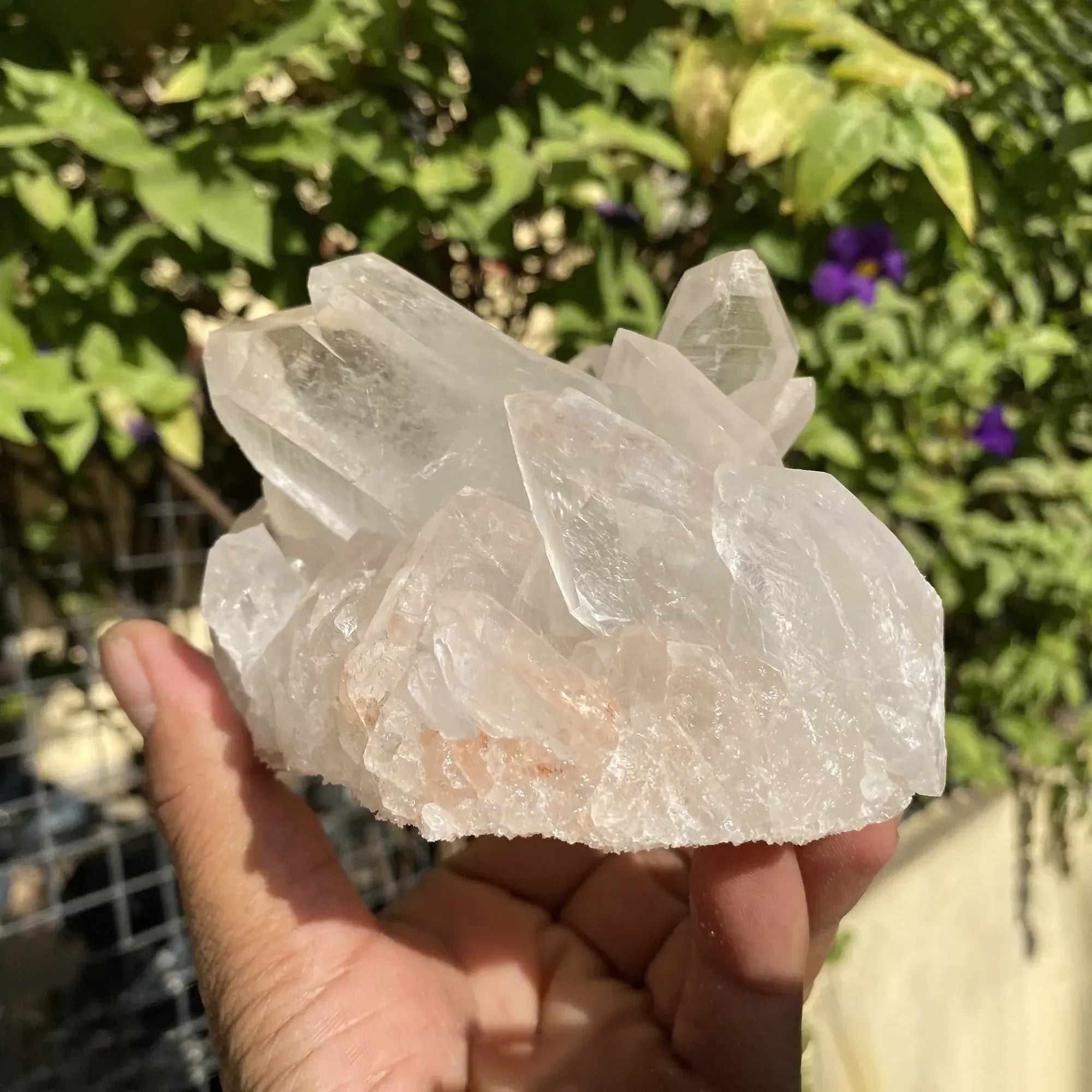 Natural Himalayan White Quartz Cluster 1020g Himalayan Quartz