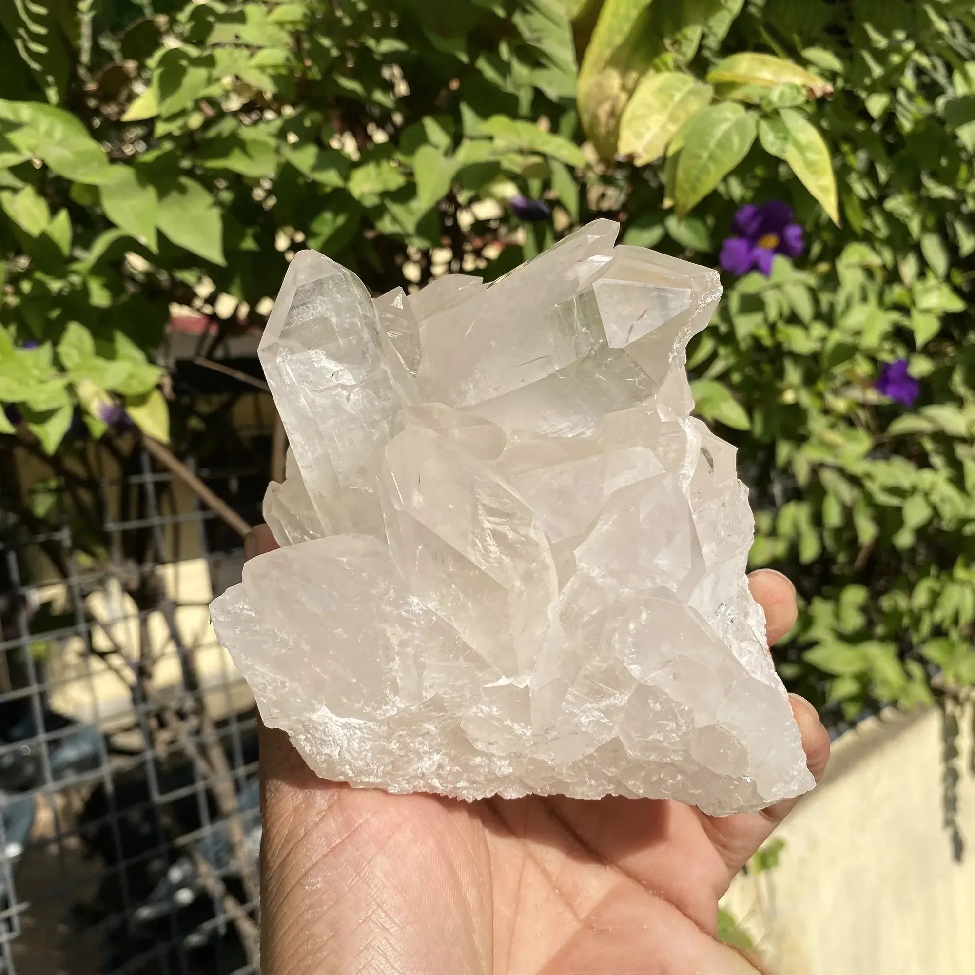 Natural Himalayan White Quartz Cluster 1020g Himalayan Quartz