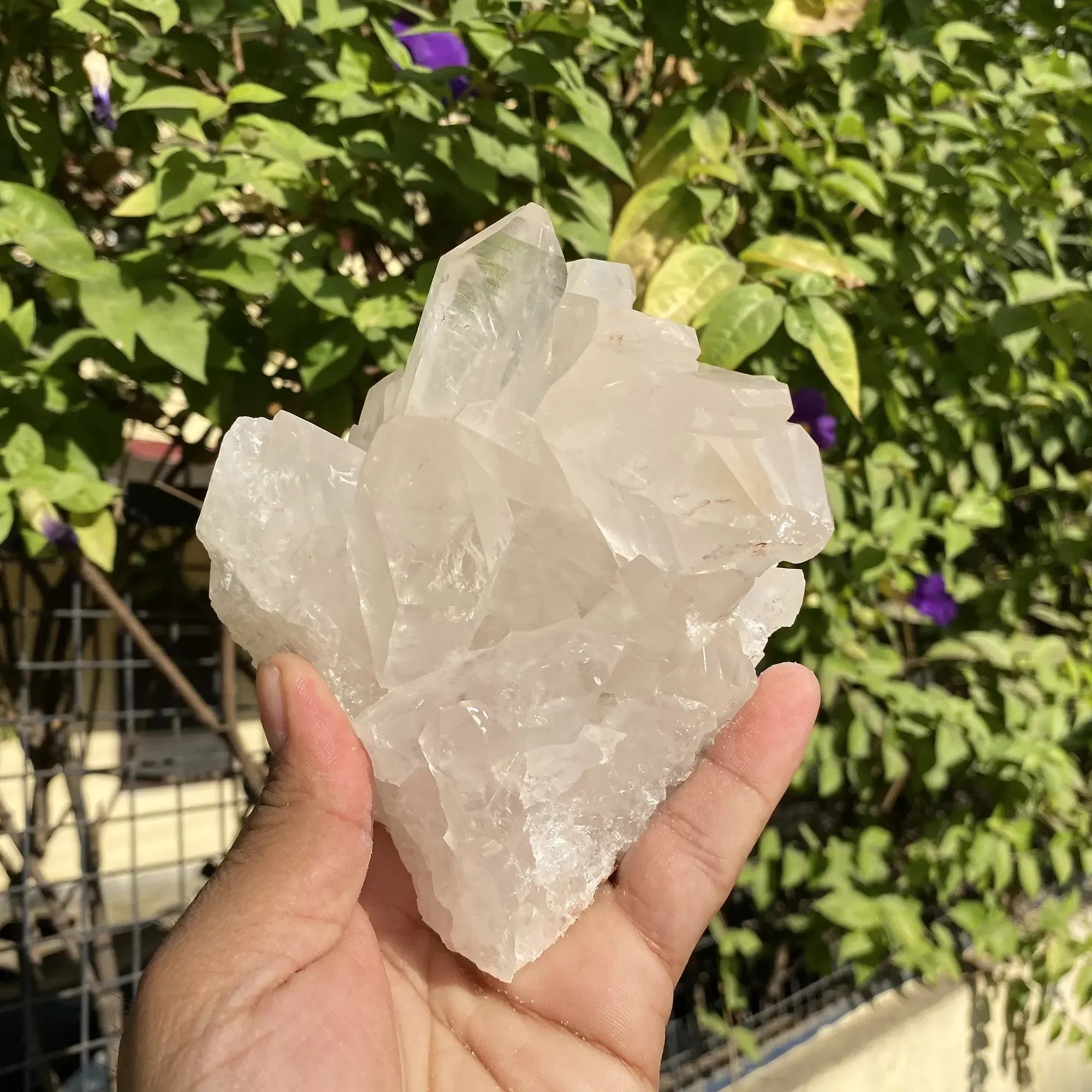 Natural Himalayan White Quartz Cluster 1020g Himalayan Quartz