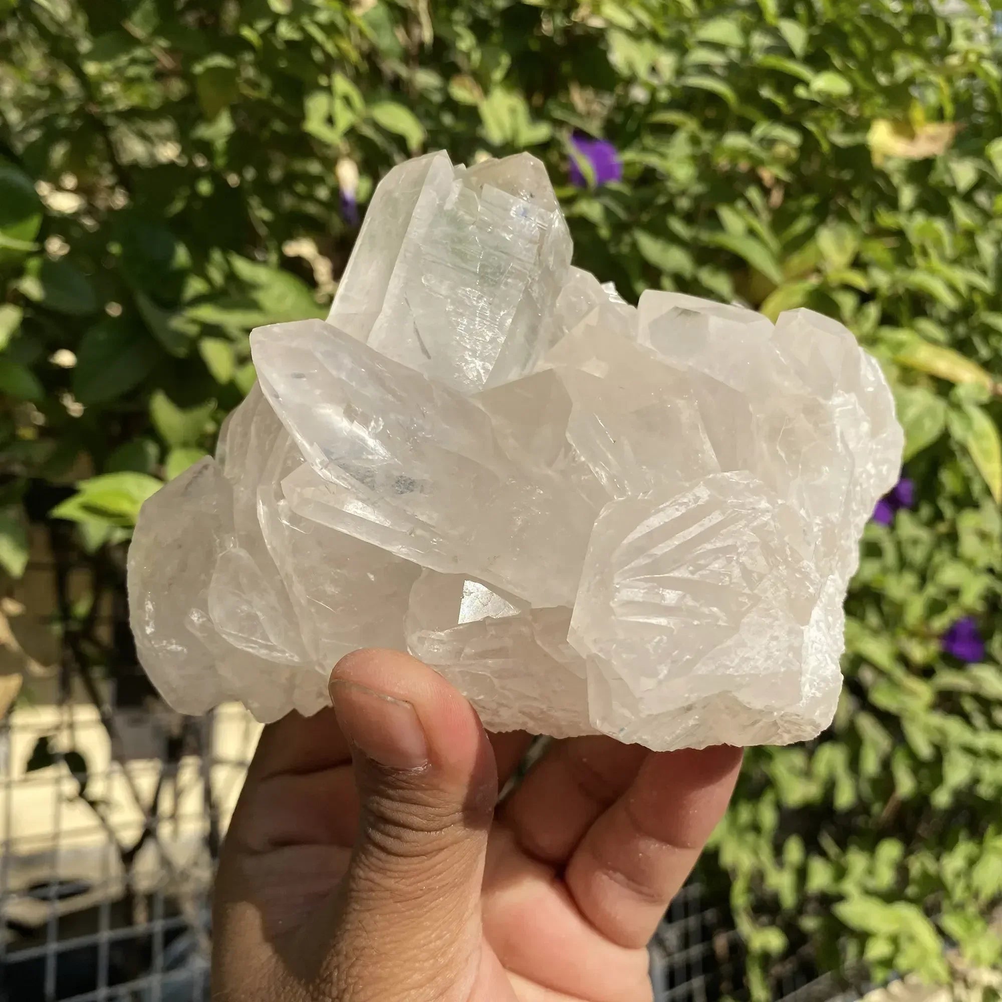 Natural Himalayan White Quartz Cluster 1020g Himalayan Quartz