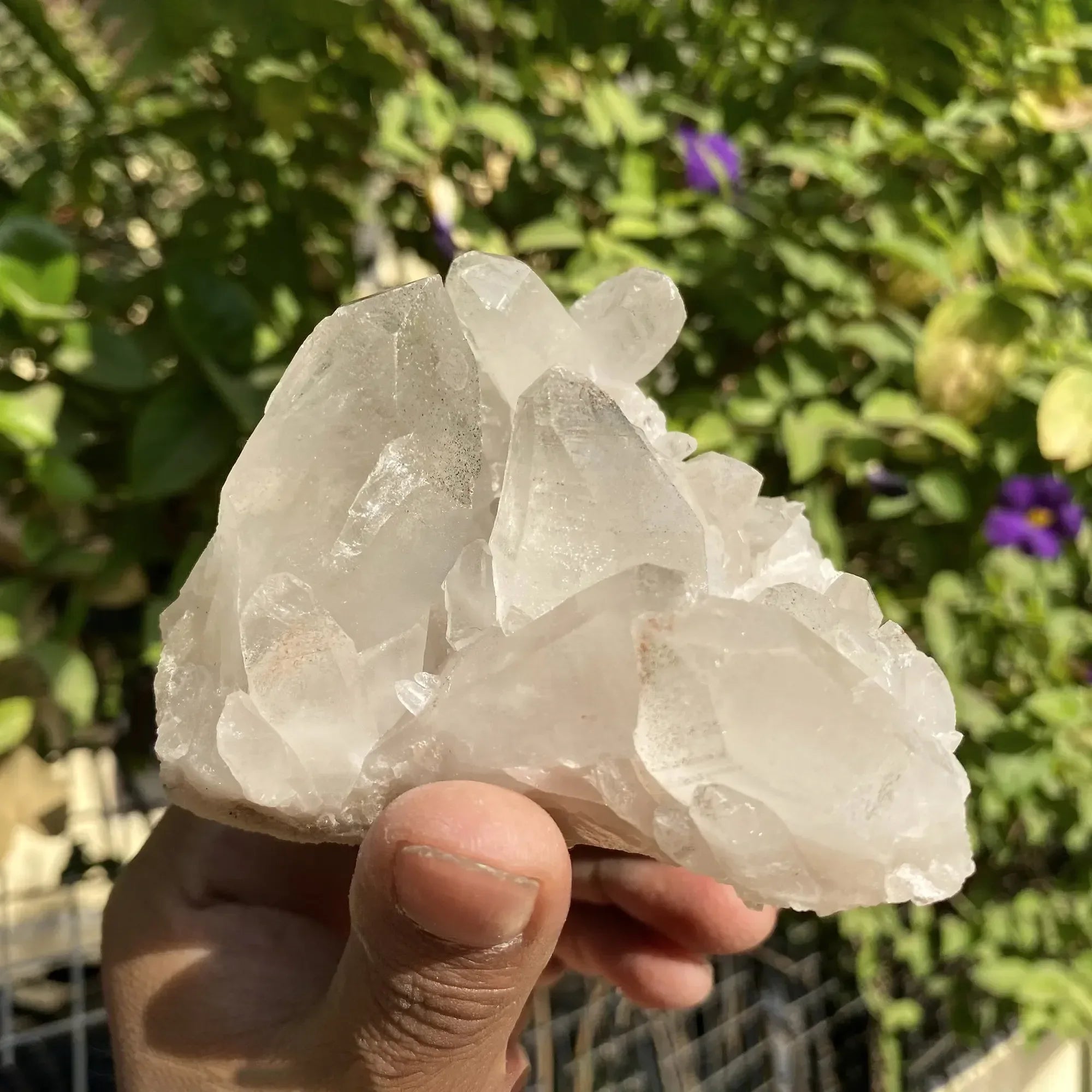 Natural Himalayan Pink Quartz Cluster 375g Himalayan Quartz