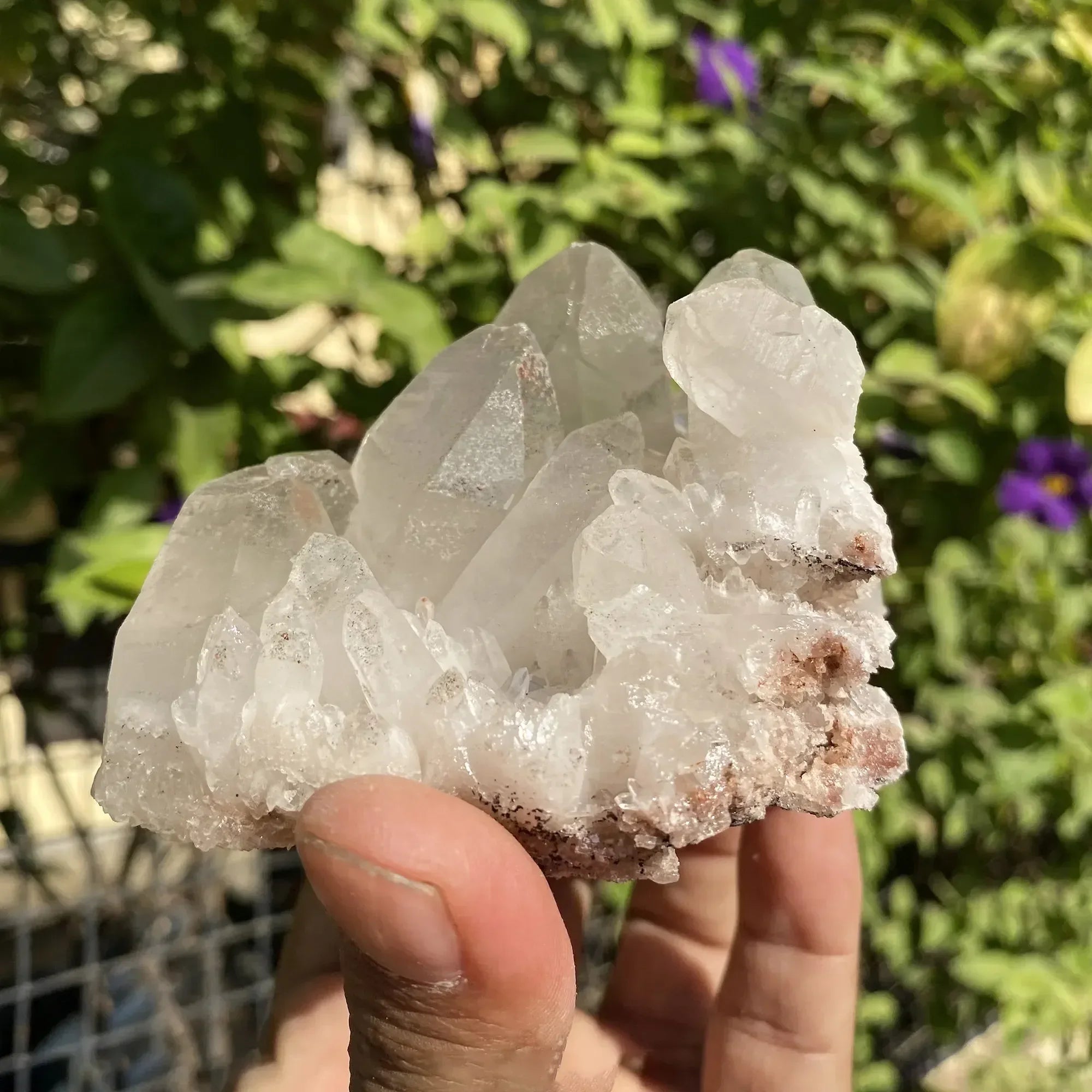 Natural Himalayan Pink Quartz Cluster 375g Himalayan Quartz