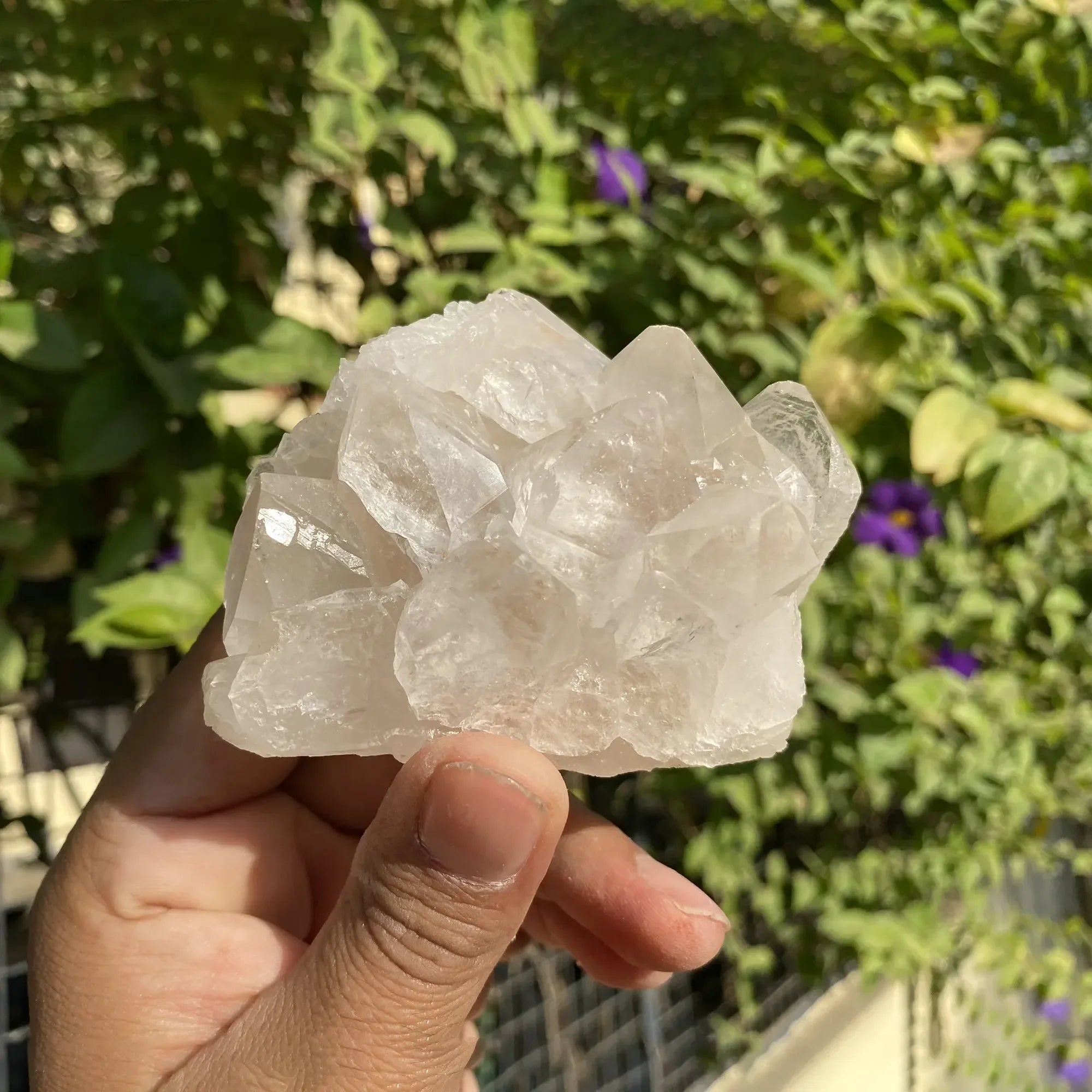 Natural Himalayan Pink Quartz Cluster 220g Himalayan Quartz