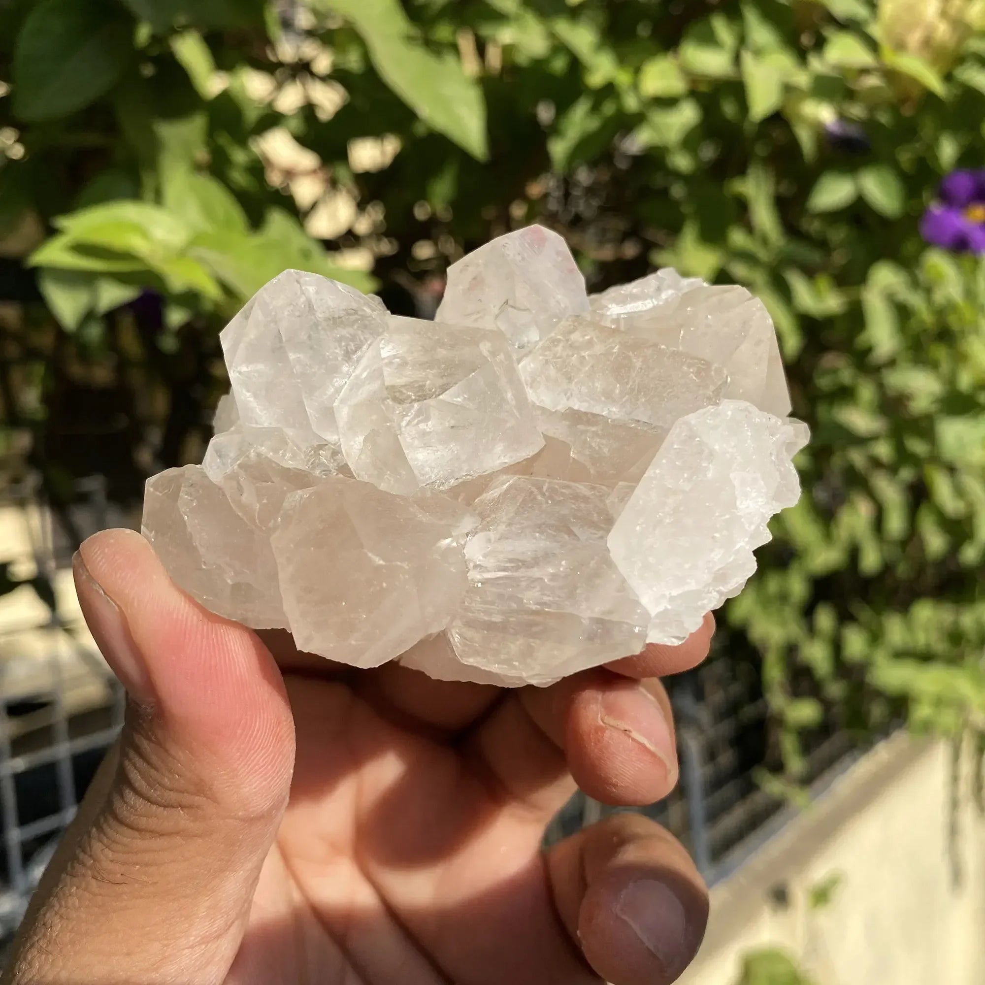 Natural Himalayan Pink Quartz Cluster 220g Himalayan Quartz