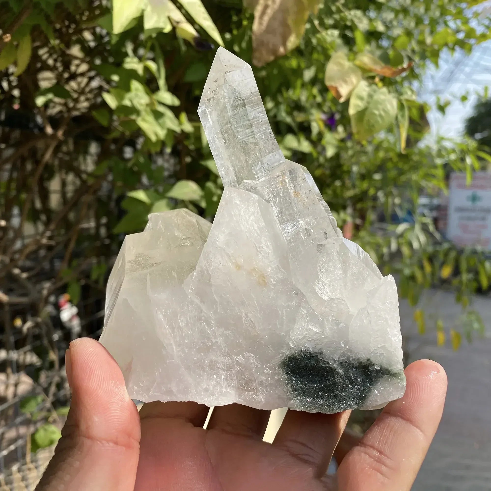 Natural Himalayan Green Chlorite Quartz Cluster 710g Himalayan Quartz