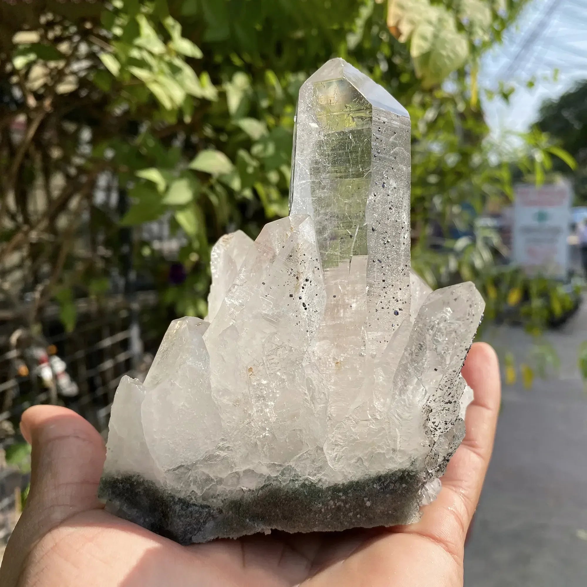 Natural Himalayan Green Chlorite Quartz Cluster 710g Himalayan Quartz