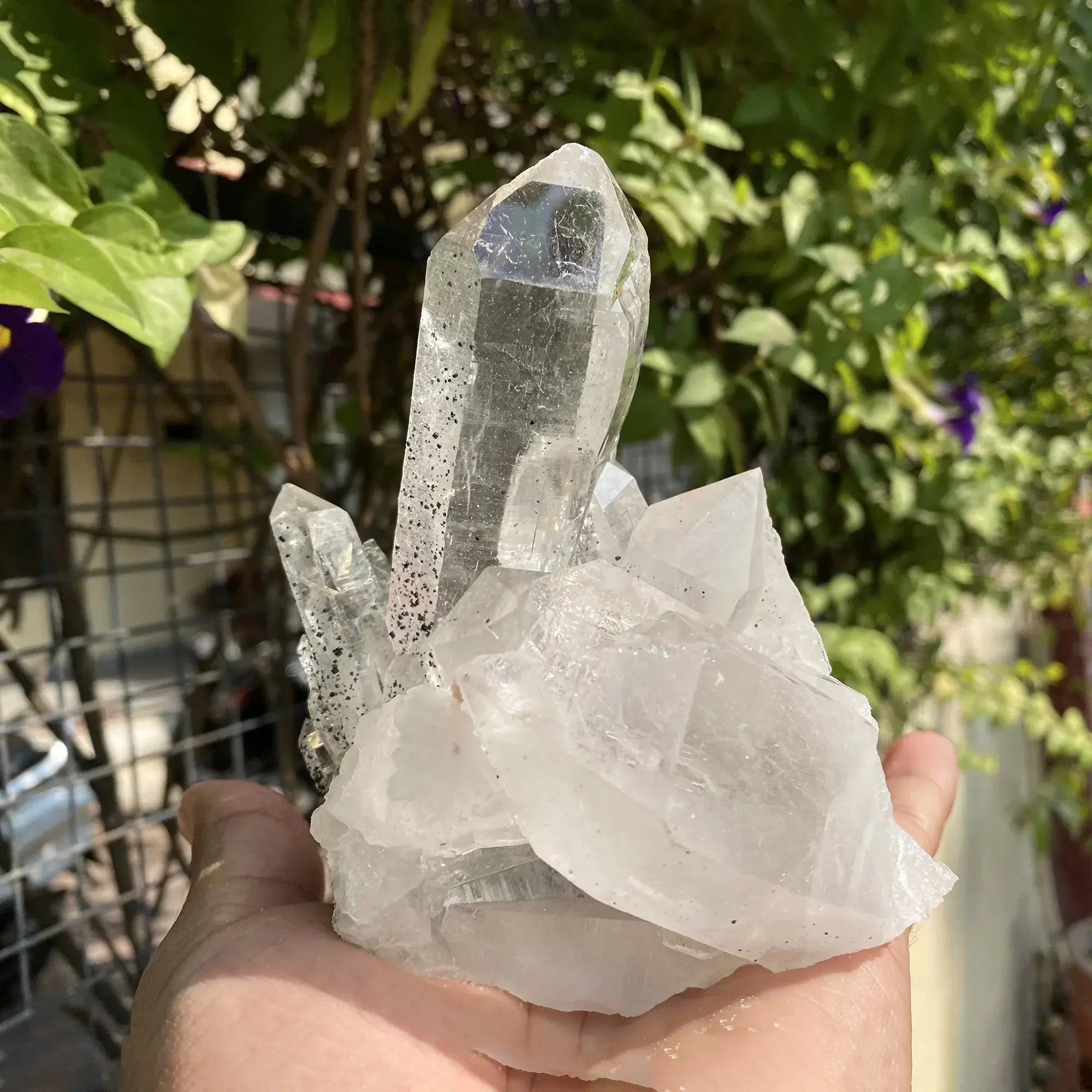 Natural Himalayan Green Chlorite Quartz Cluster 710g Himalayan Quartz