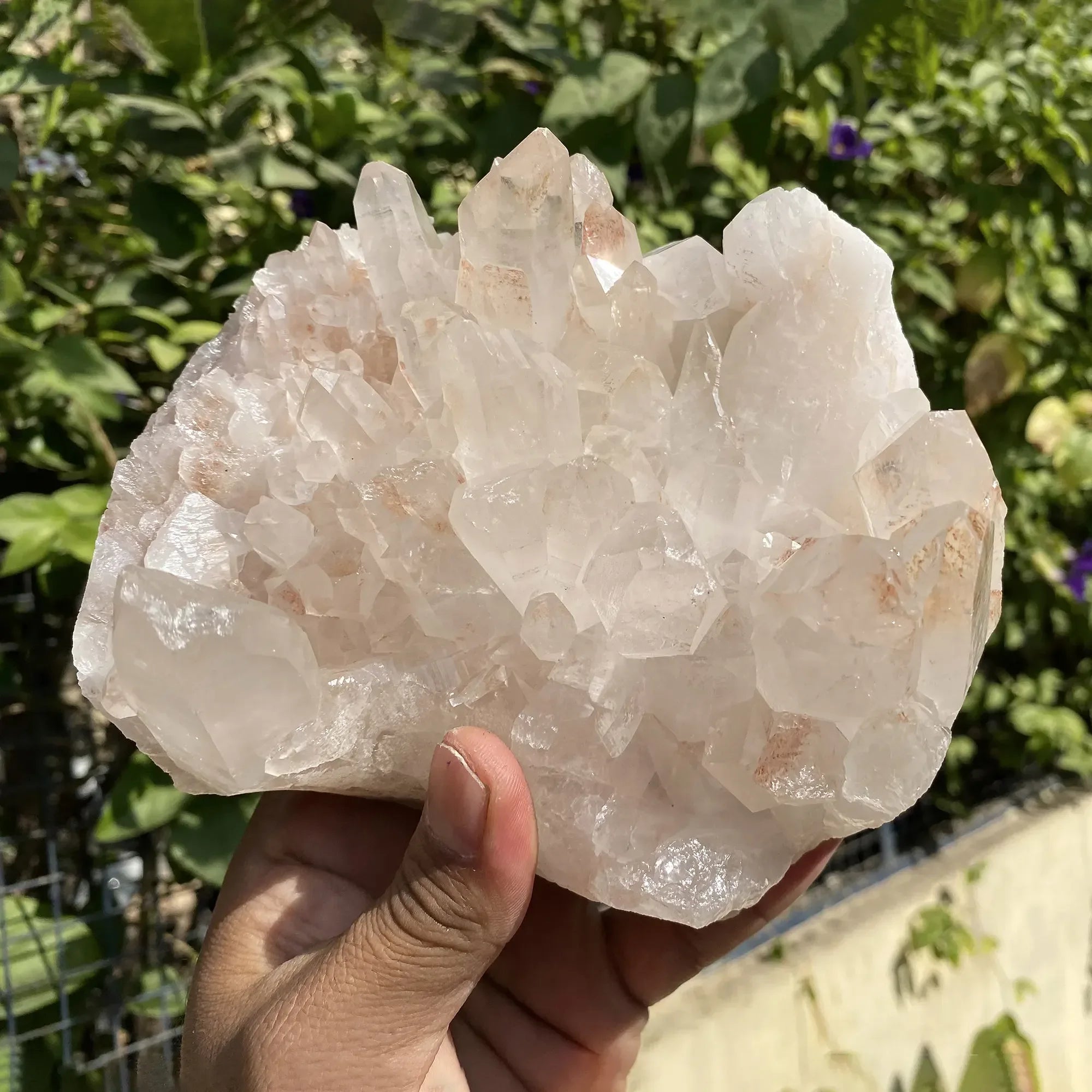 Natural Himalayan Pink Quartz Cluster 1590g Himalayan Quartz