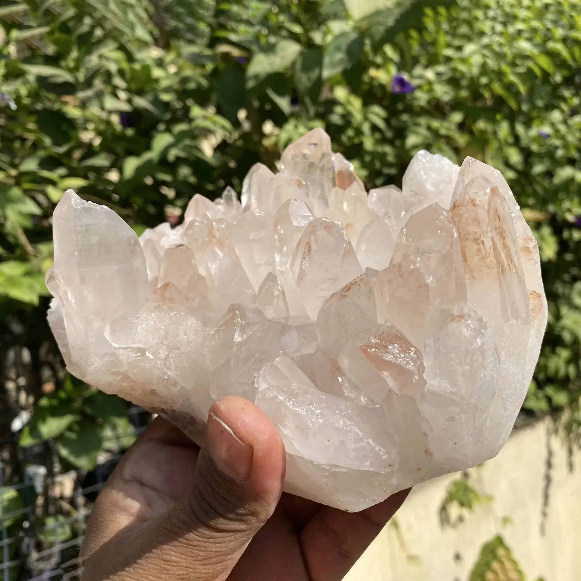 Natural Himalayan Pink Quartz Cluster 1590g Himalayan Quartz