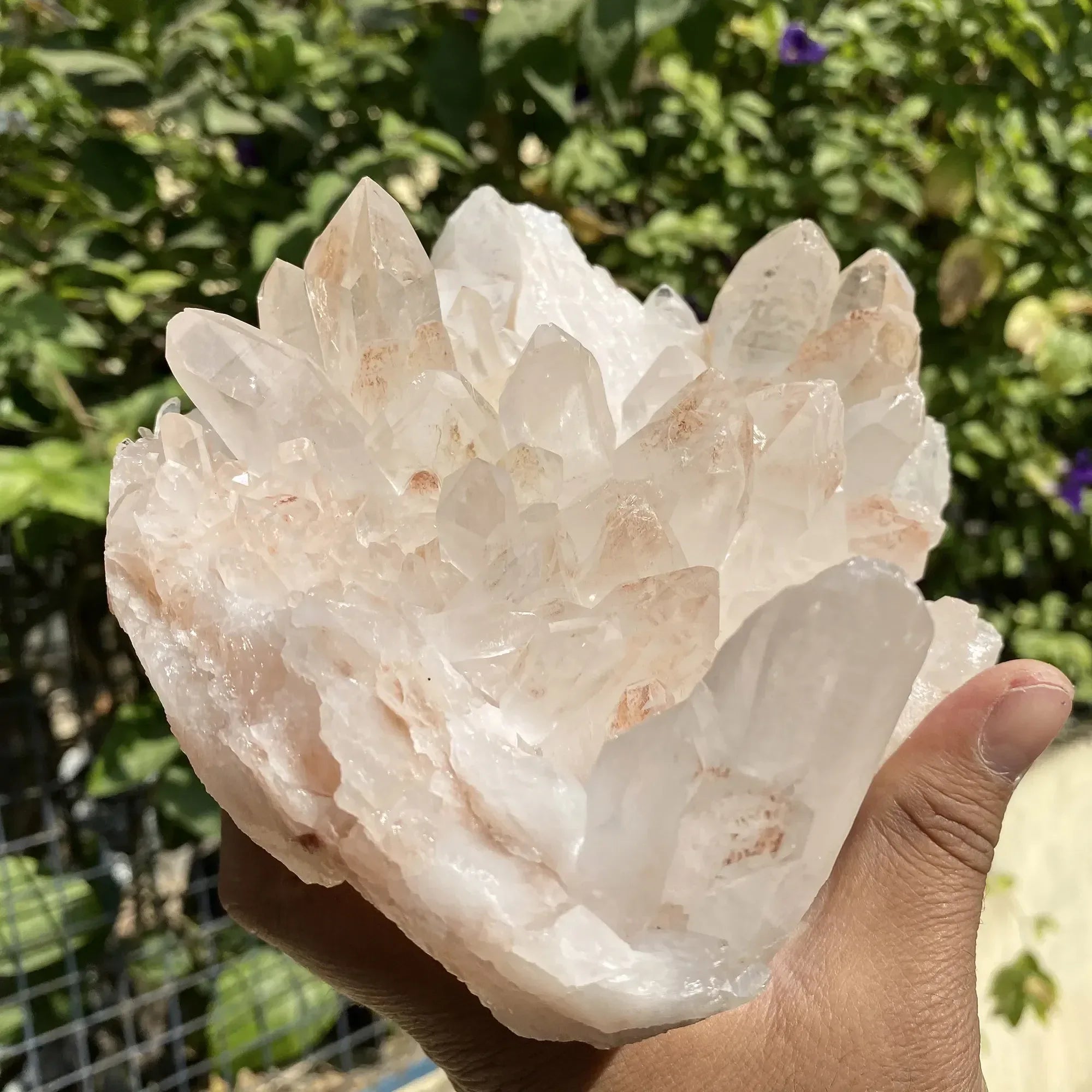 Natural Himalayan Pink Quartz Cluster 1590g Himalayan Quartz
