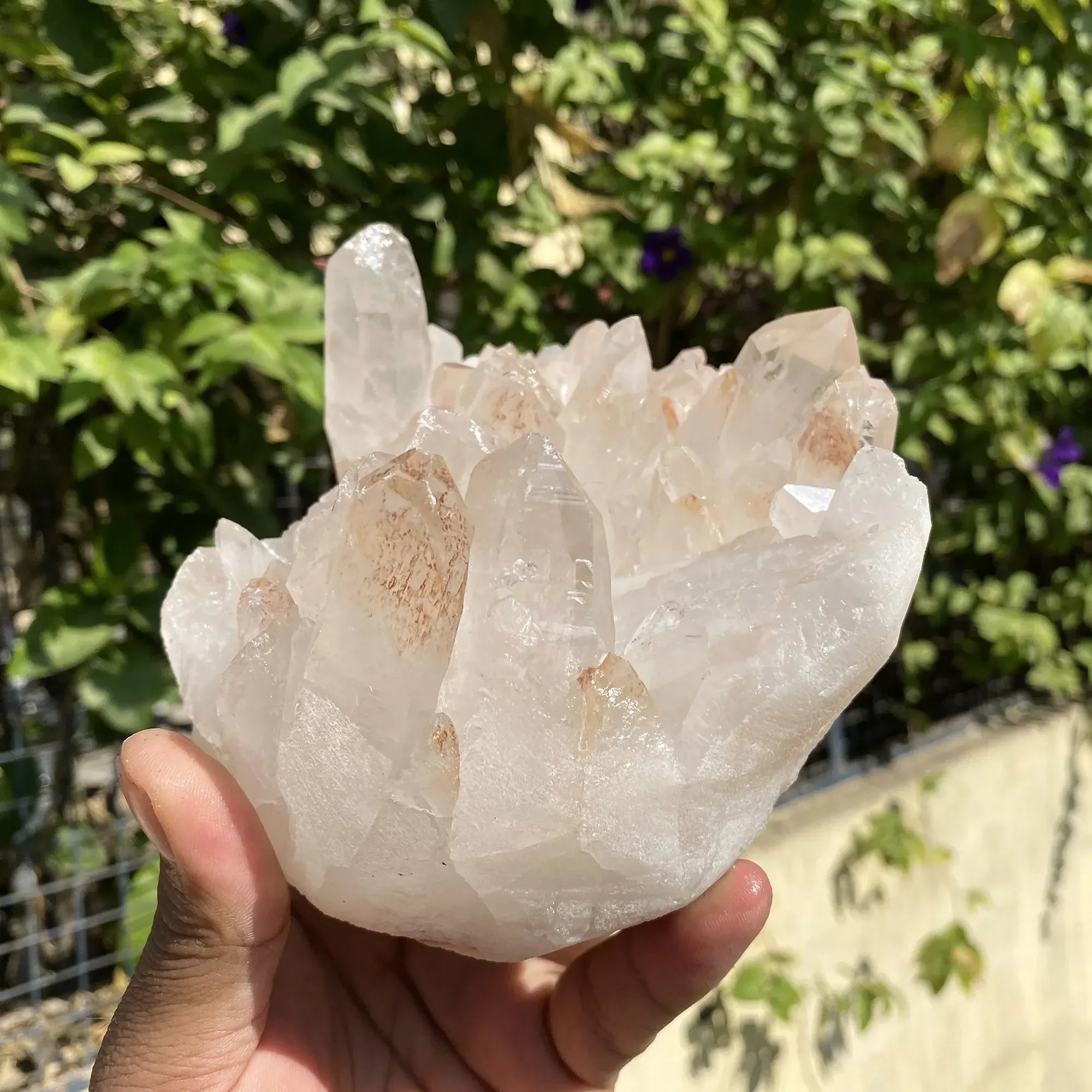 Natural Himalayan Pink Quartz Cluster 1590g Himalayan Quartz