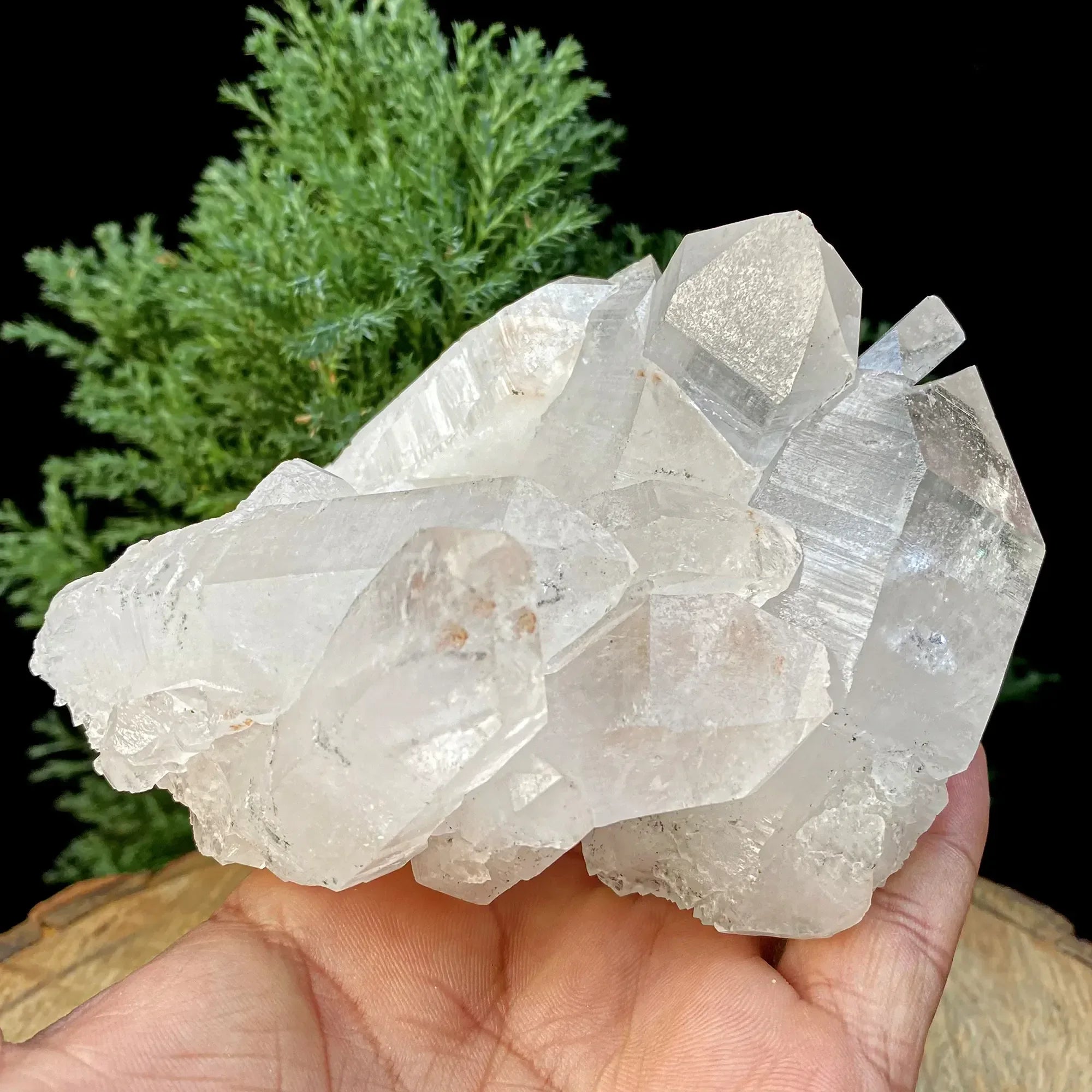 Natural Himalayan White Quartz Cluster 795g Himalayan Quartz