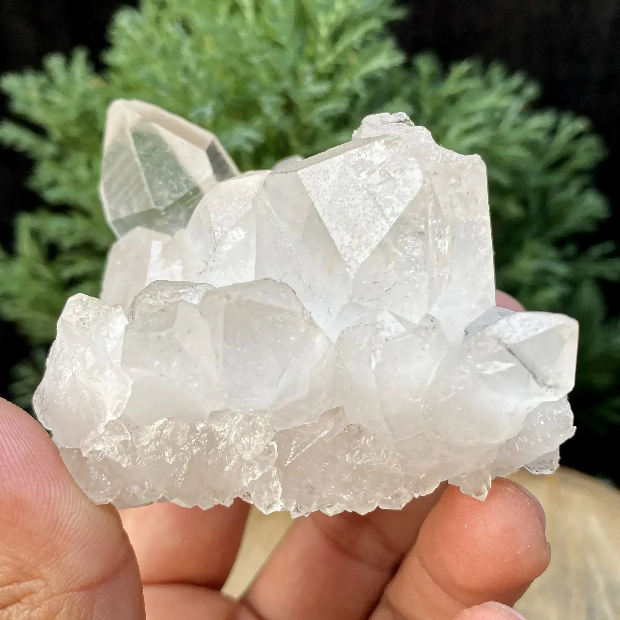 Natural Himalayan White Quartz Cluster 220g Himalayan Quartz