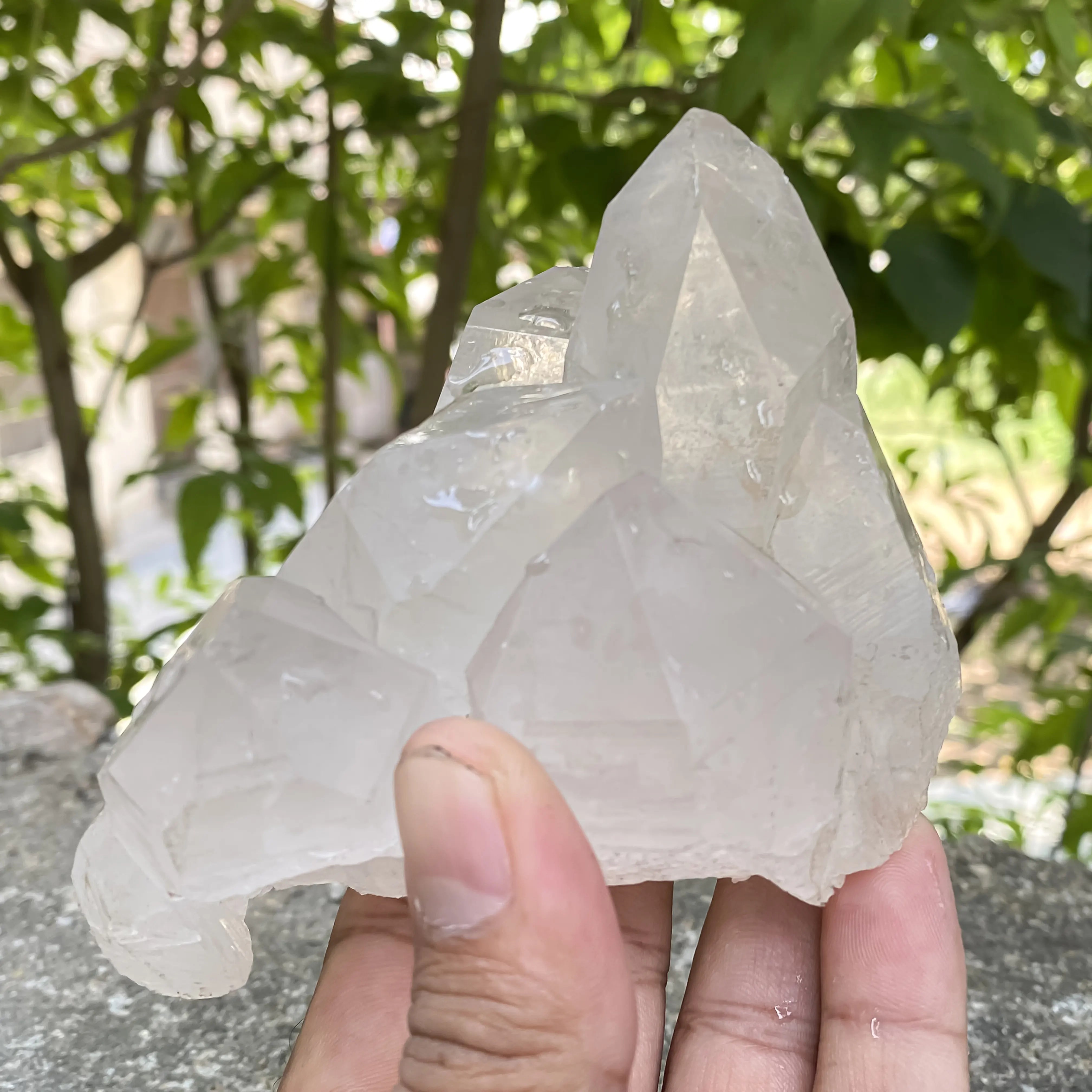 Natural Himalayan White Quartz Cluster 545g Master Healer Reiki Energy Stone