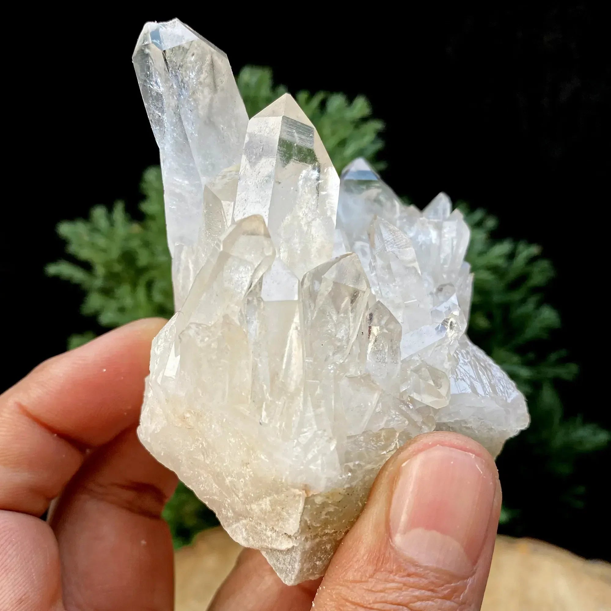 Natural Himalayan White Quartz Cluster 175g Himalayan Quartz