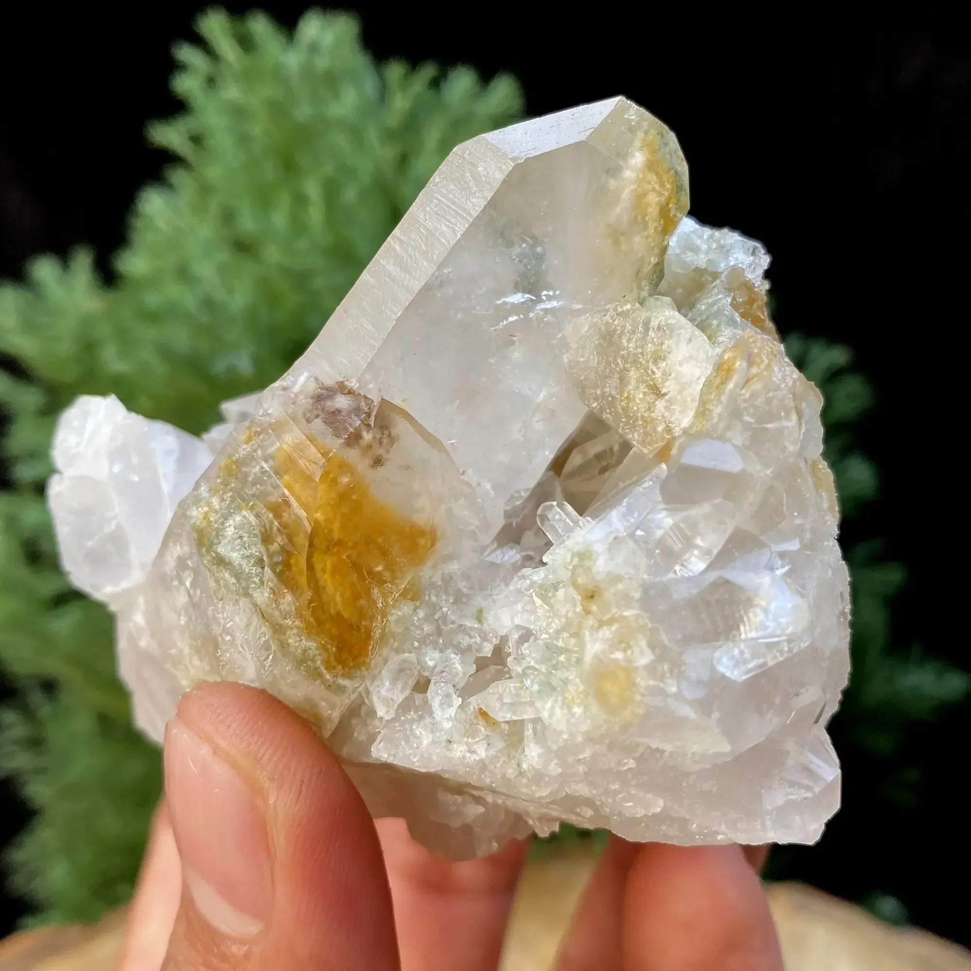 Natural Himalayan Yellow & White Quartz Cluster 265g Himalayan Quartz