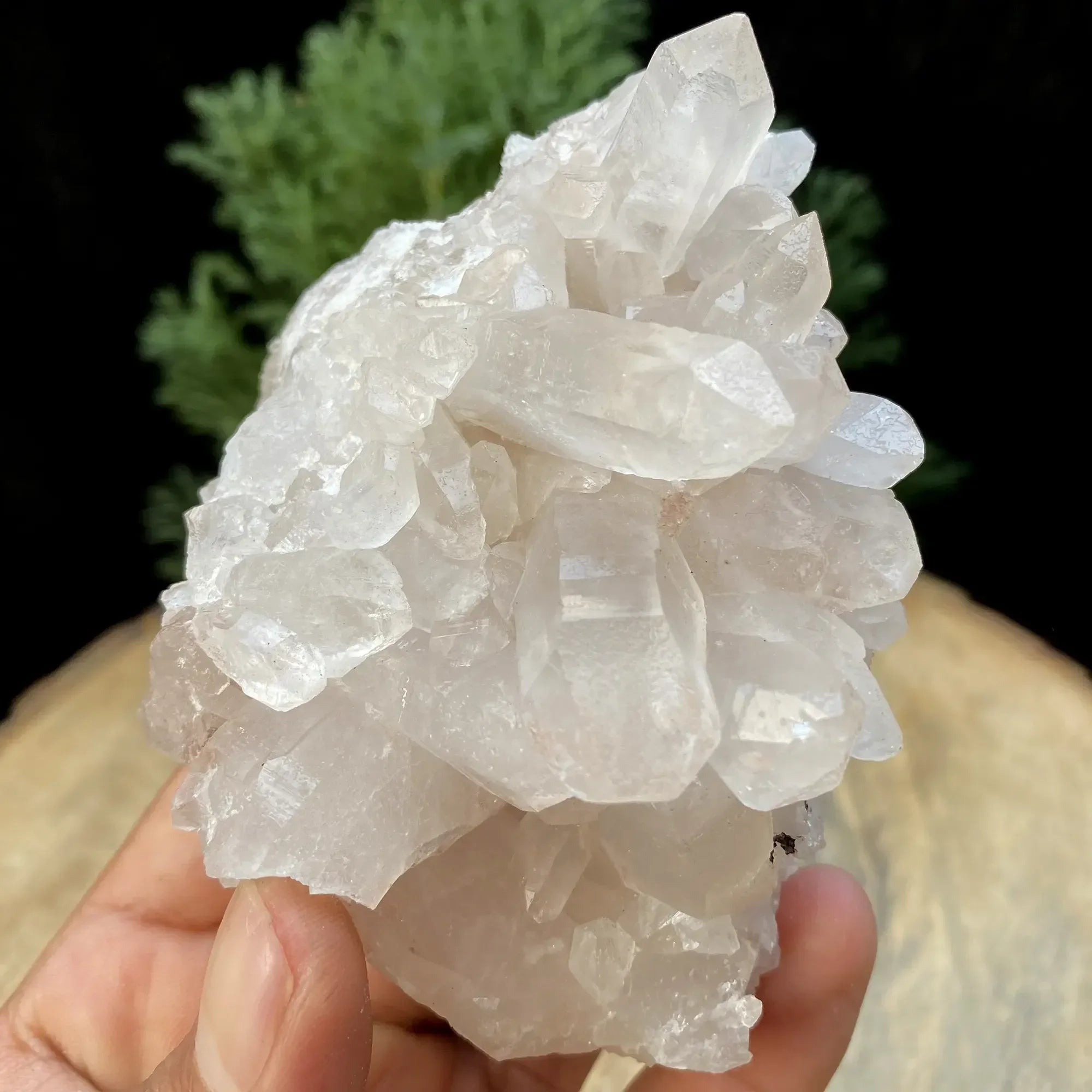 Natural Himalayan White Quartz Cluster 270g Himalayan Quartz