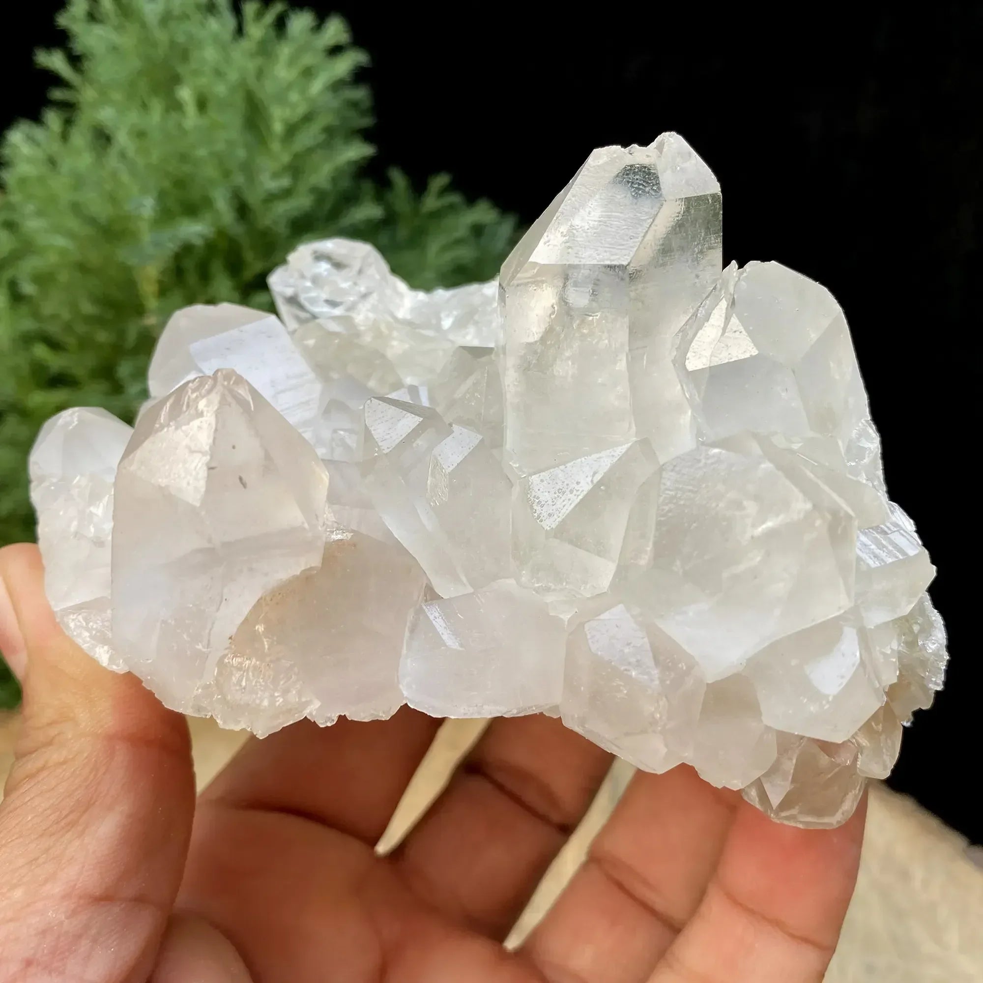 Natural Himalayan White Quartz Cluster 580g Himalayan Quartz